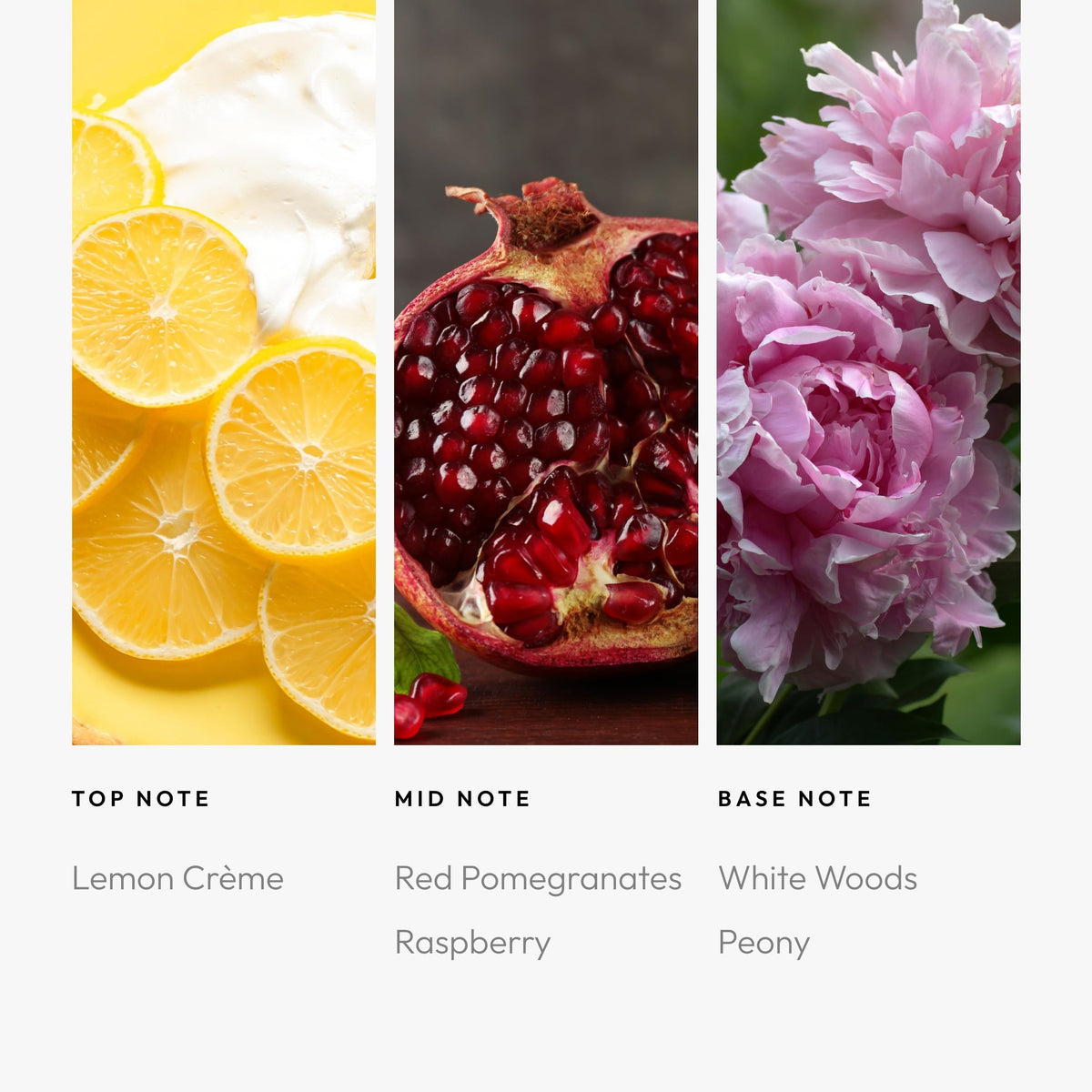 Aroma360 - The Sweetest Taboo Fragrance Oil Scent - Luxury Aromatherapy Scent Diffuser Oil - Hints of Lemon Crème, Pomeg