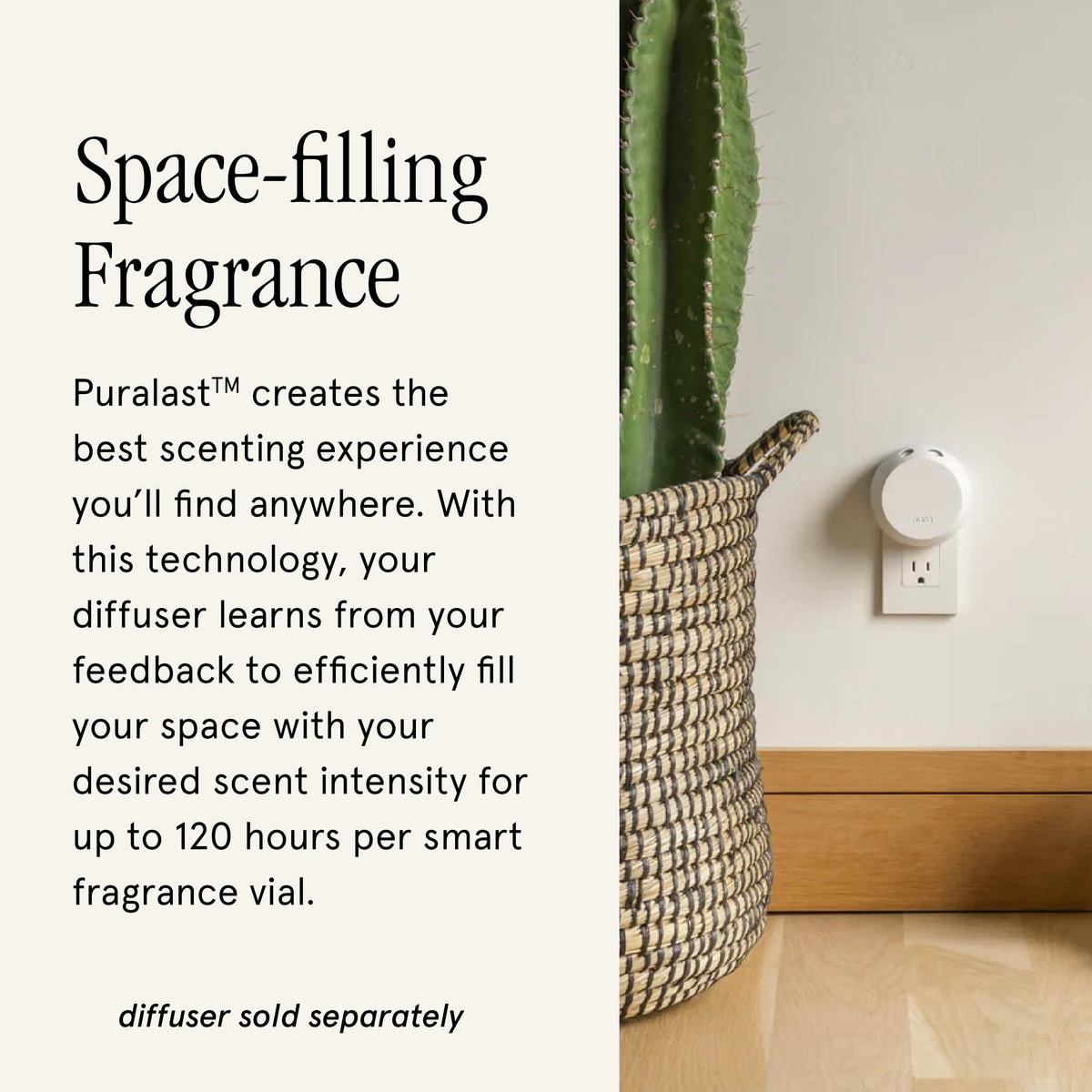 Pura x Aromatique Home Diffuser Refill 2 Pack The Smell of - Pura Official Imagery - 4