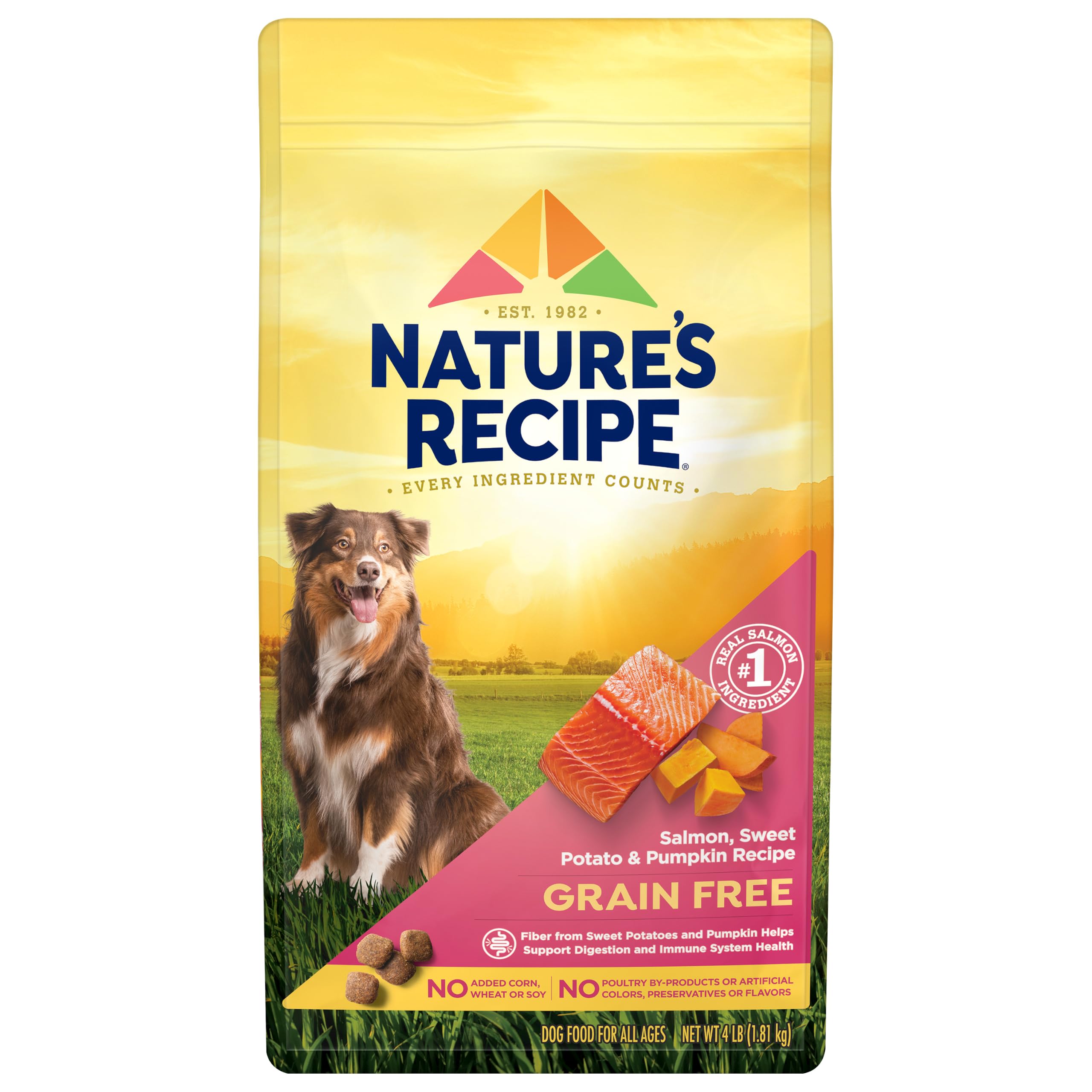 Nature's Recipe Grain Free Salmon Dry Dog Food, 4 lb. Bag - Product Imagery