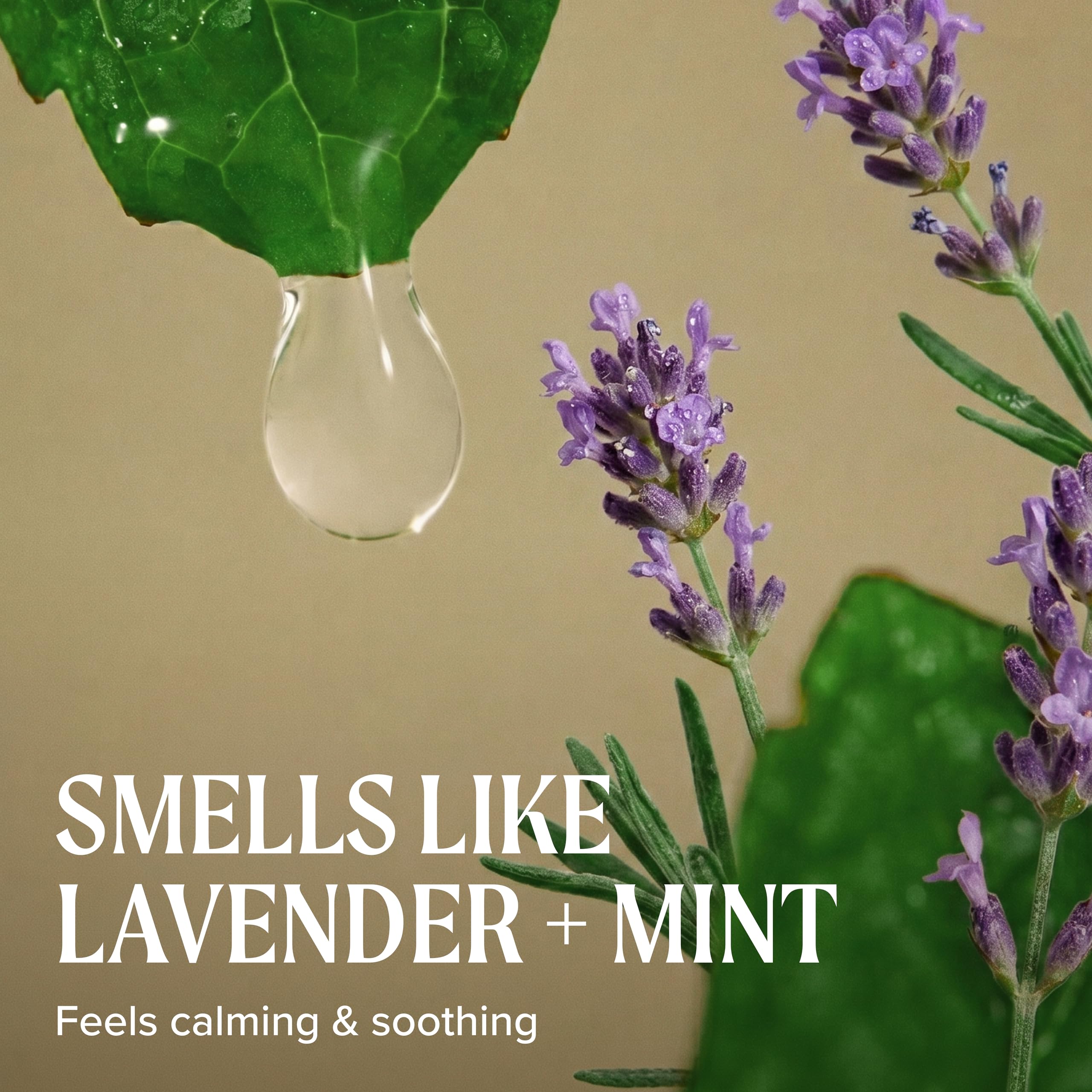 Tea Tree Lavender Mint Taming Cream for curly, dry hair; rich styling cream in 3.4 oz. bottle, provides smooth, manageable hair.