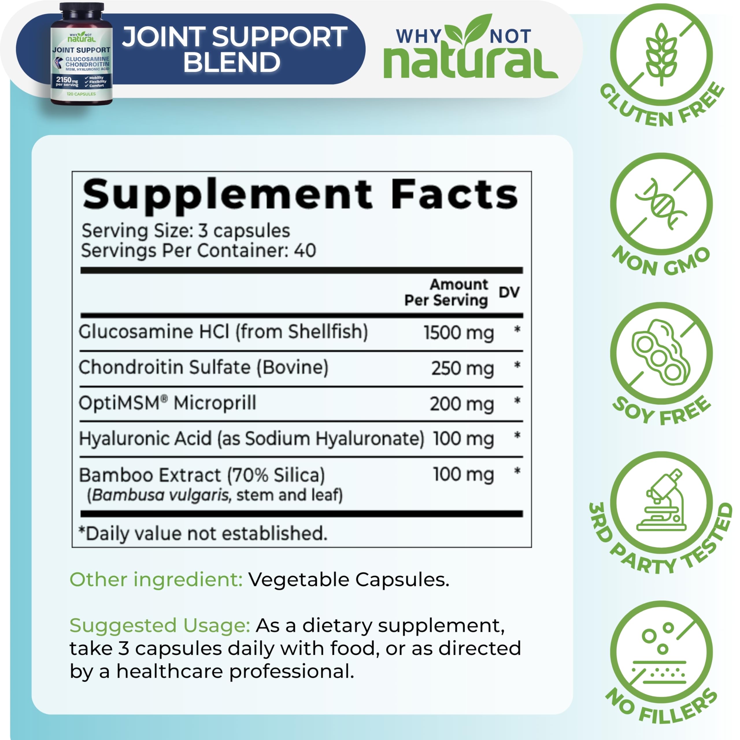 Why Not Natural Glucosamine Chondroitin, MSM, Joint Support Supplements - Knee Pain Joints Health Suppplement