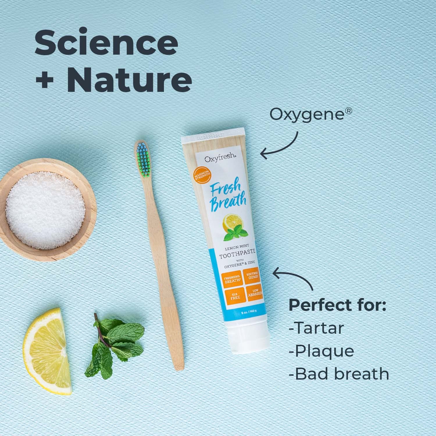 Oxyfresh Maximum Fresh Breath Lemon Mint Toothpaste - Clean Teeth & Fresh Breath - Natural Essential Oils & Natural Xylitol to Help Fight Tartar - SLS & Fluoride Free - 5 oz