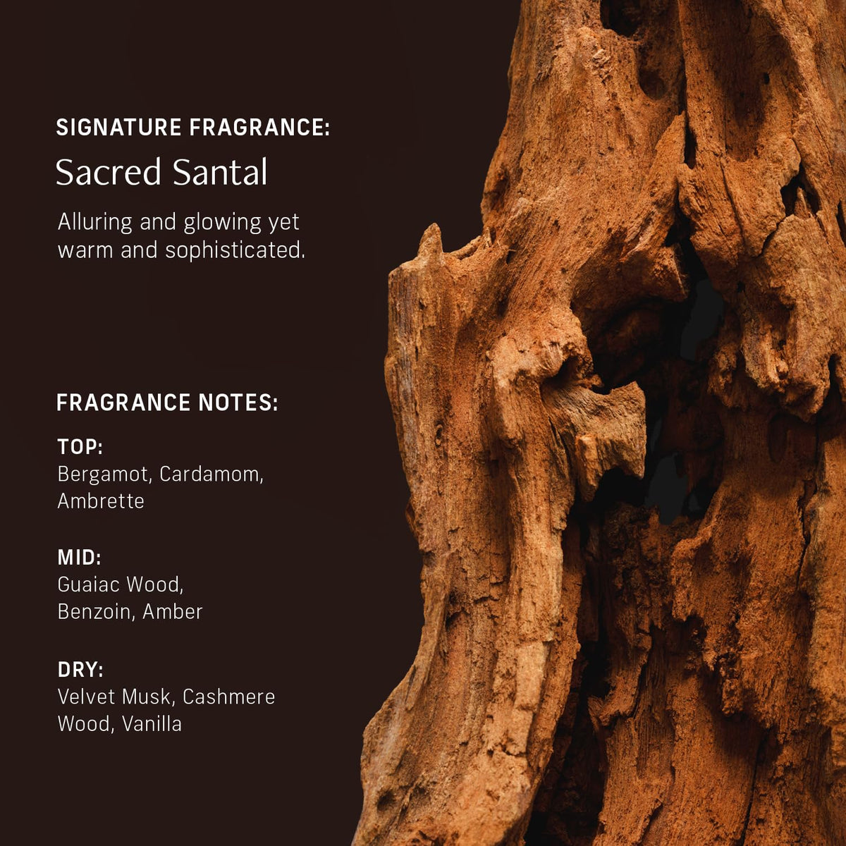 CYKLAR Sensorial Multi Oil Body Wash Cleanser Sacred Santal - CYKLAR Official Imagery - 5