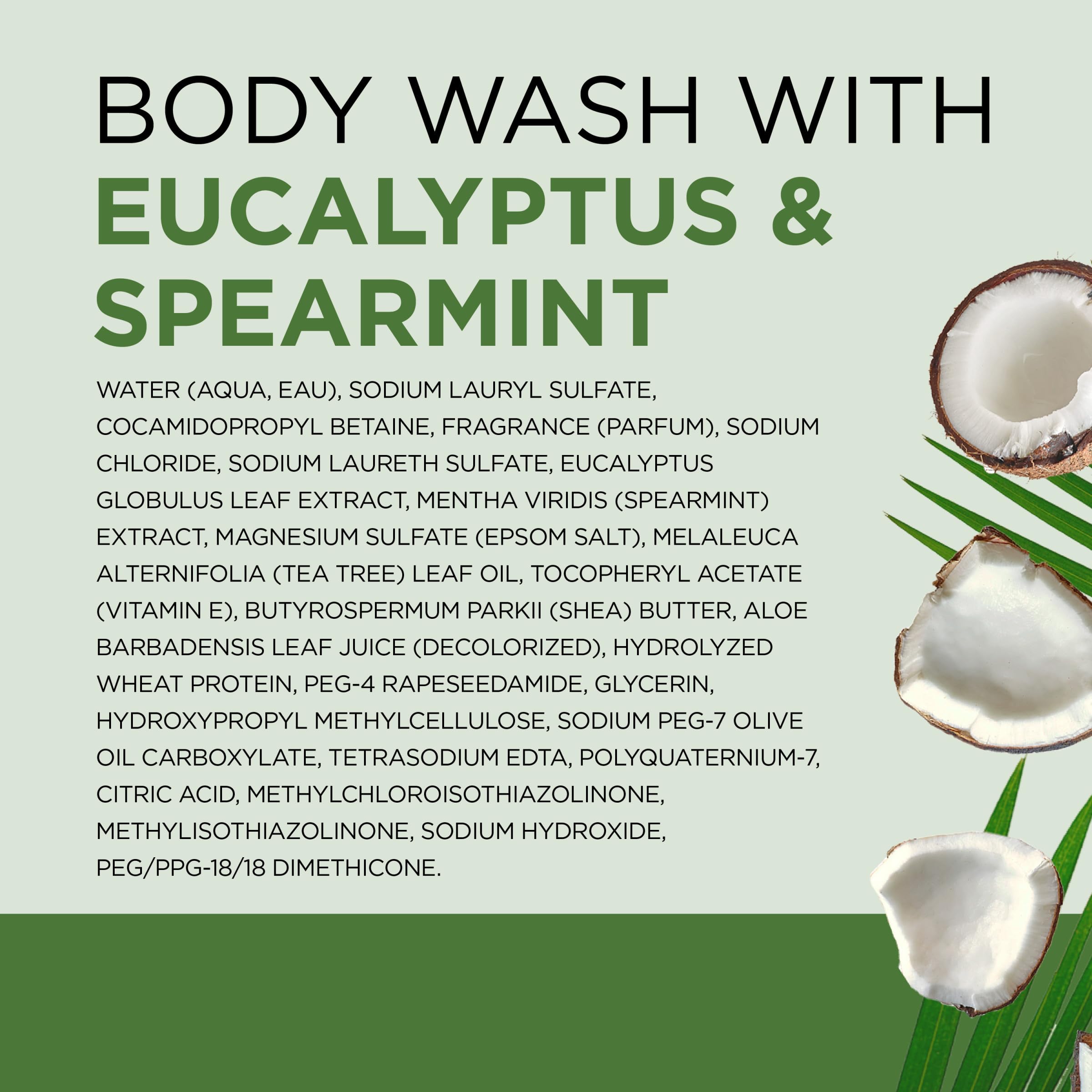 Dr Teal's Eucalyptus & Spearmint body wash bottles showing clear liquid and label details, 24 fl oz each, in a pack of two.