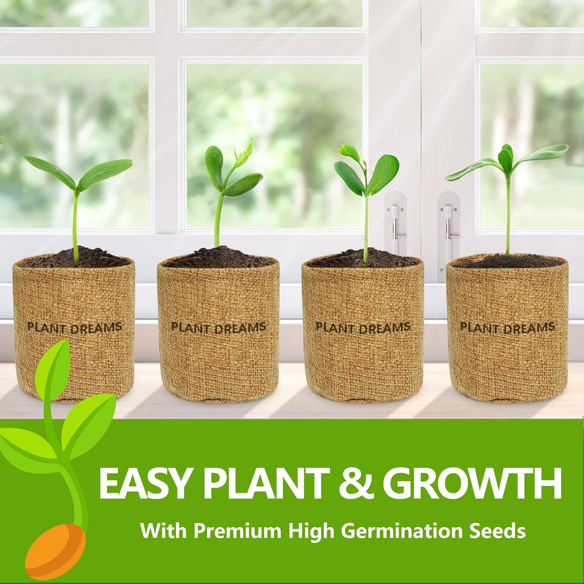 Bonsai Tree Kit Bonsai Starter Kit with Seeds Tools White - LUOJIBIE Official Imagery - 7