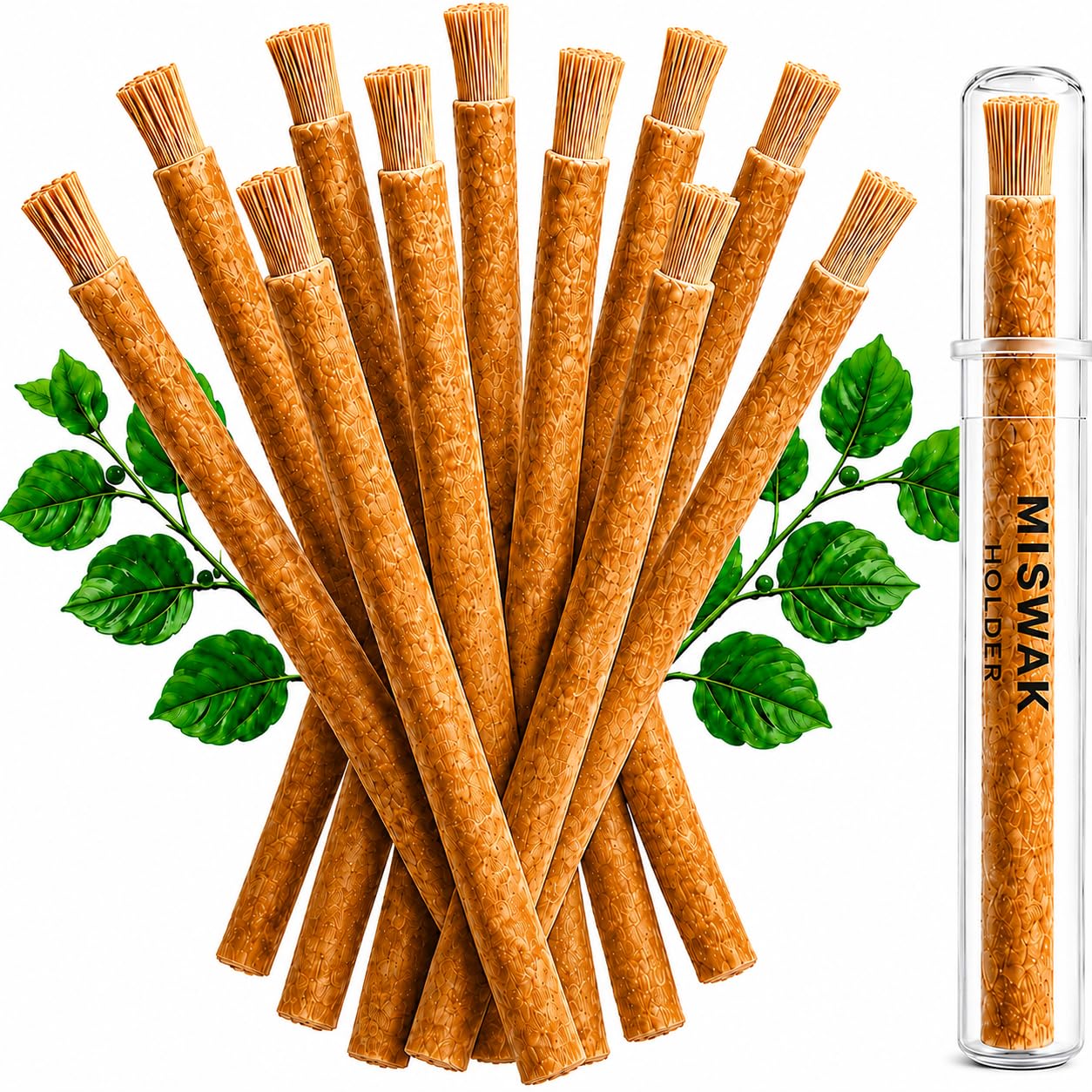 Miswak Sticks for Teeth Pack of 12 with Holder - 100% Natural - Product Imagery