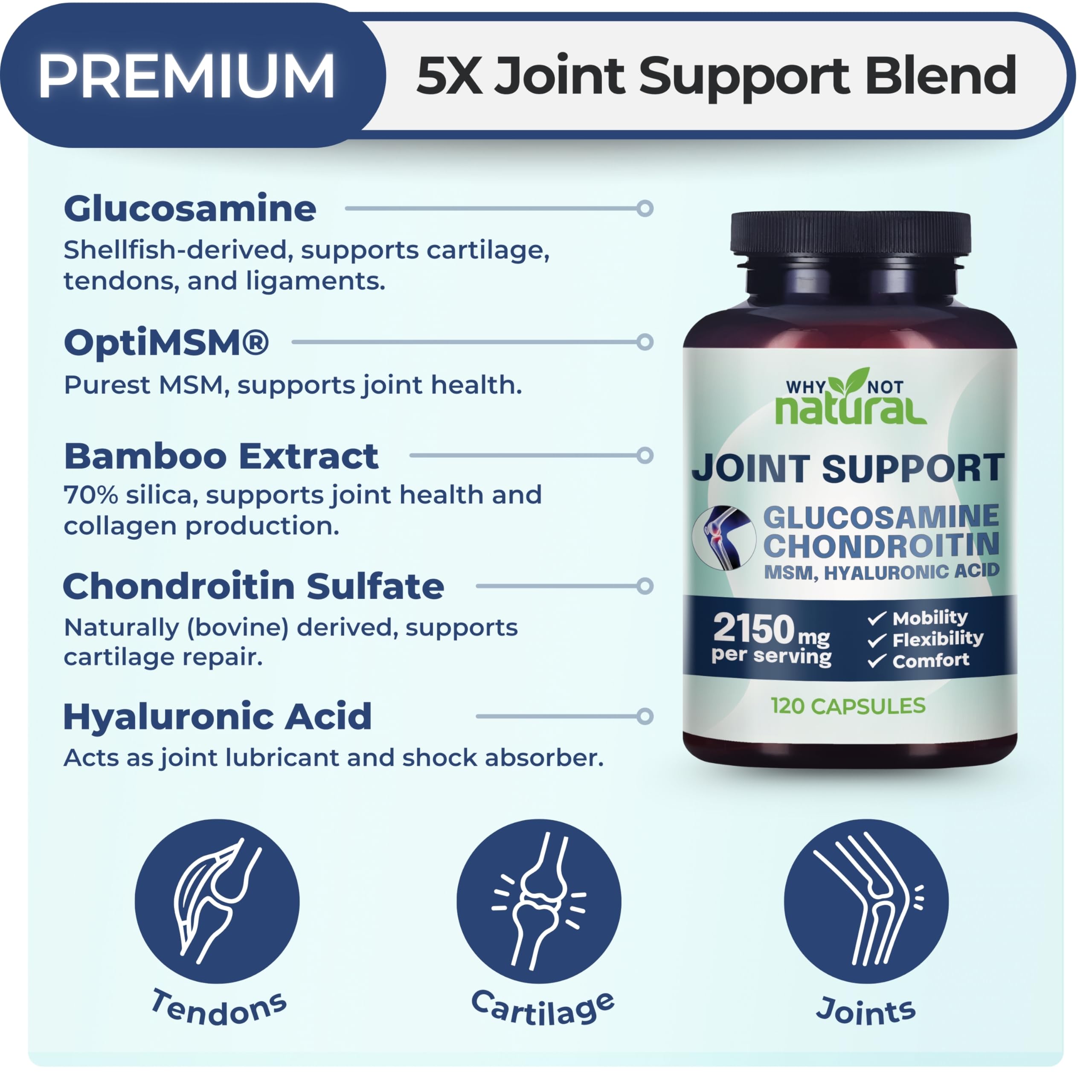 Why Not Natural Glucosamine Chondroitin, MSM, Joint Support Supplements - Knee Pain Joints Health Suppplement