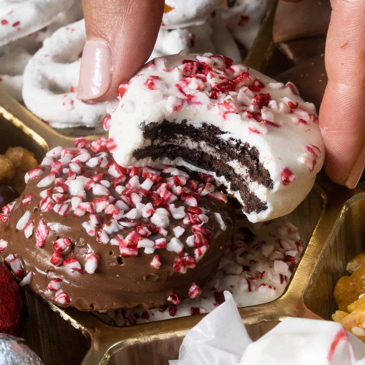 Whimsical Holiday Set - BONNIE AND POP Official Imagery - 5