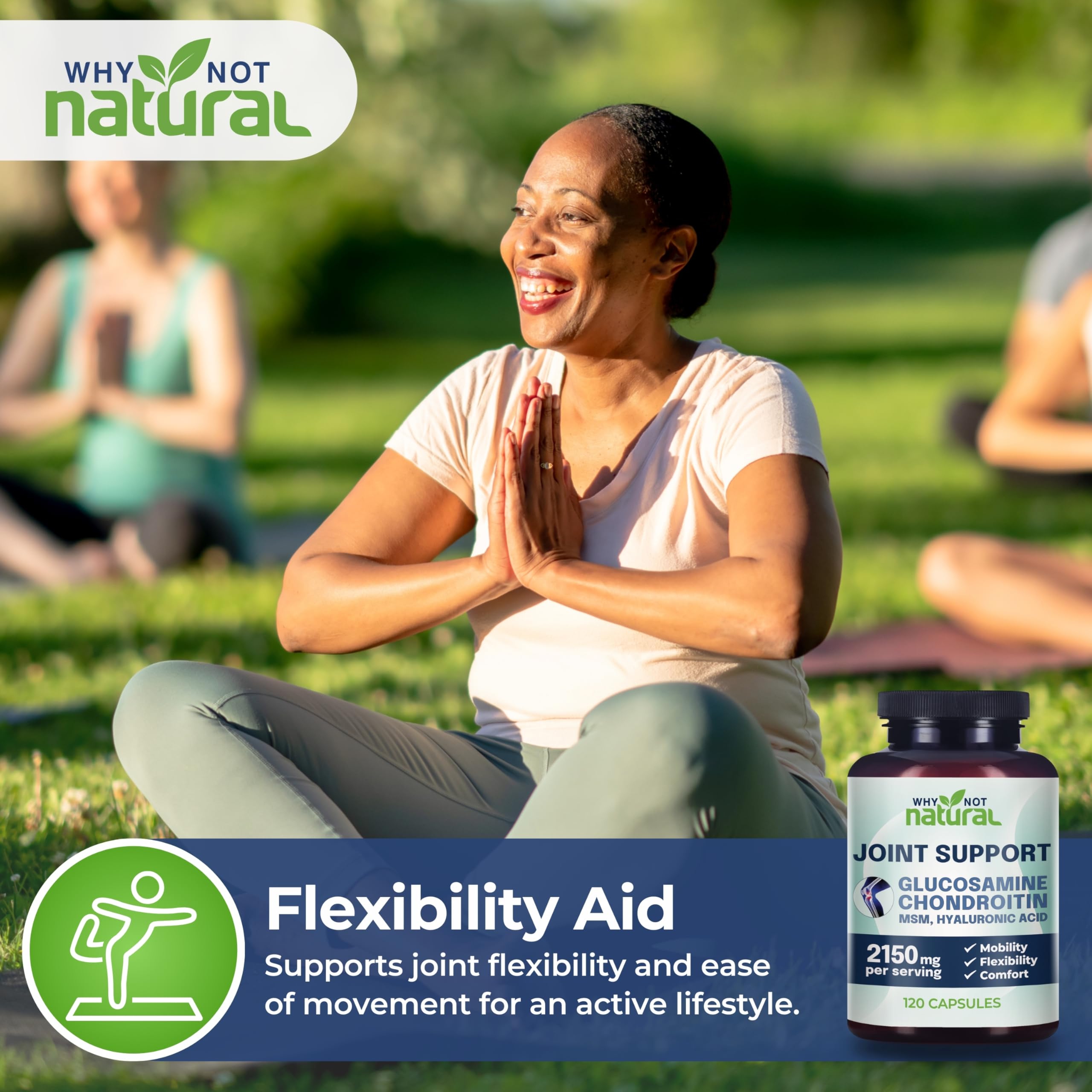 Why Not Natural Glucosamine Chondroitin, MSM, Joint Support Supplements - Knee Pain Joints Health Suppplement