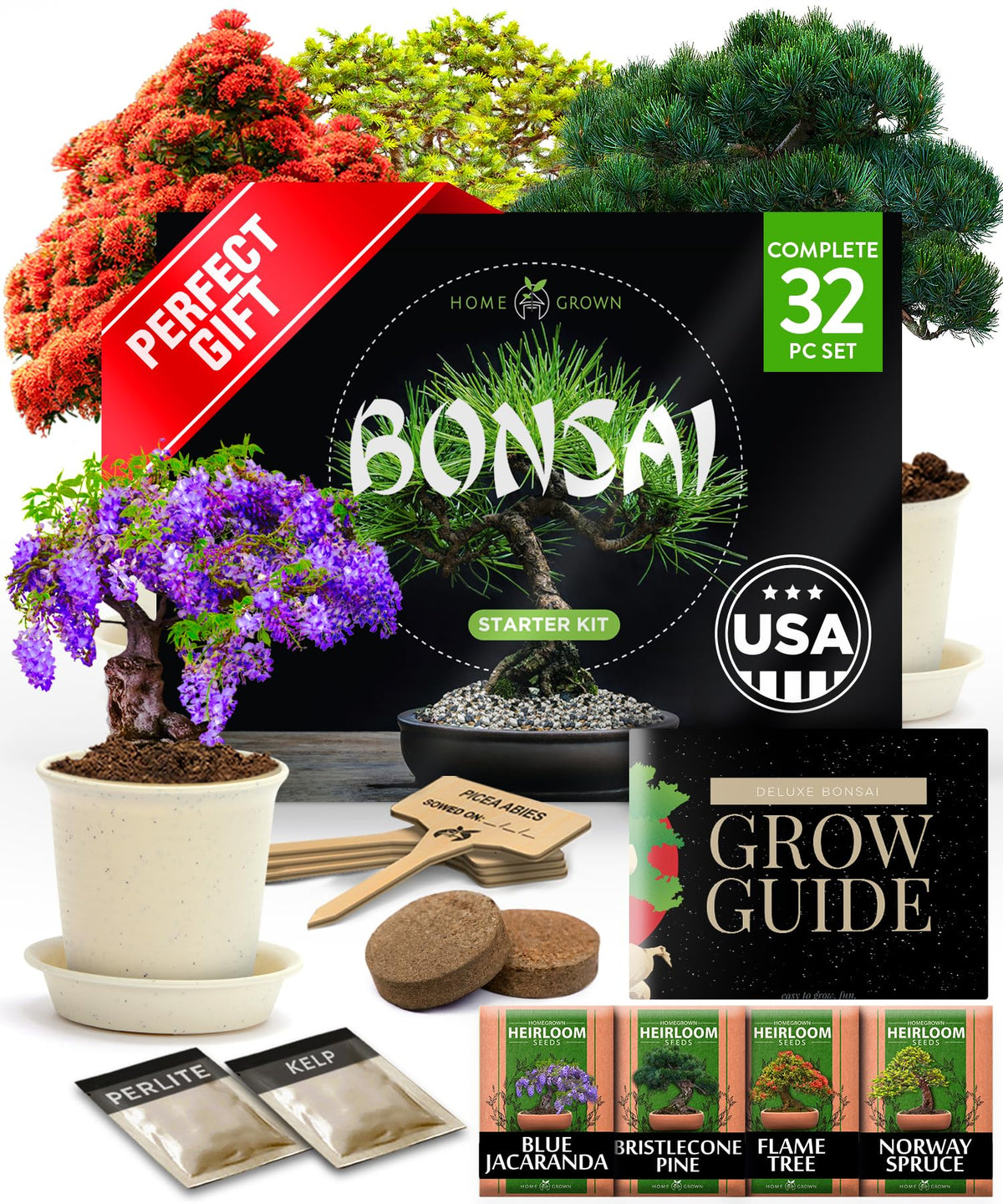 HOME GROWN Bonsai Tree Starter Kit Grow 4 Bonsai Trees - HOME GROWN Official Imagery - 1