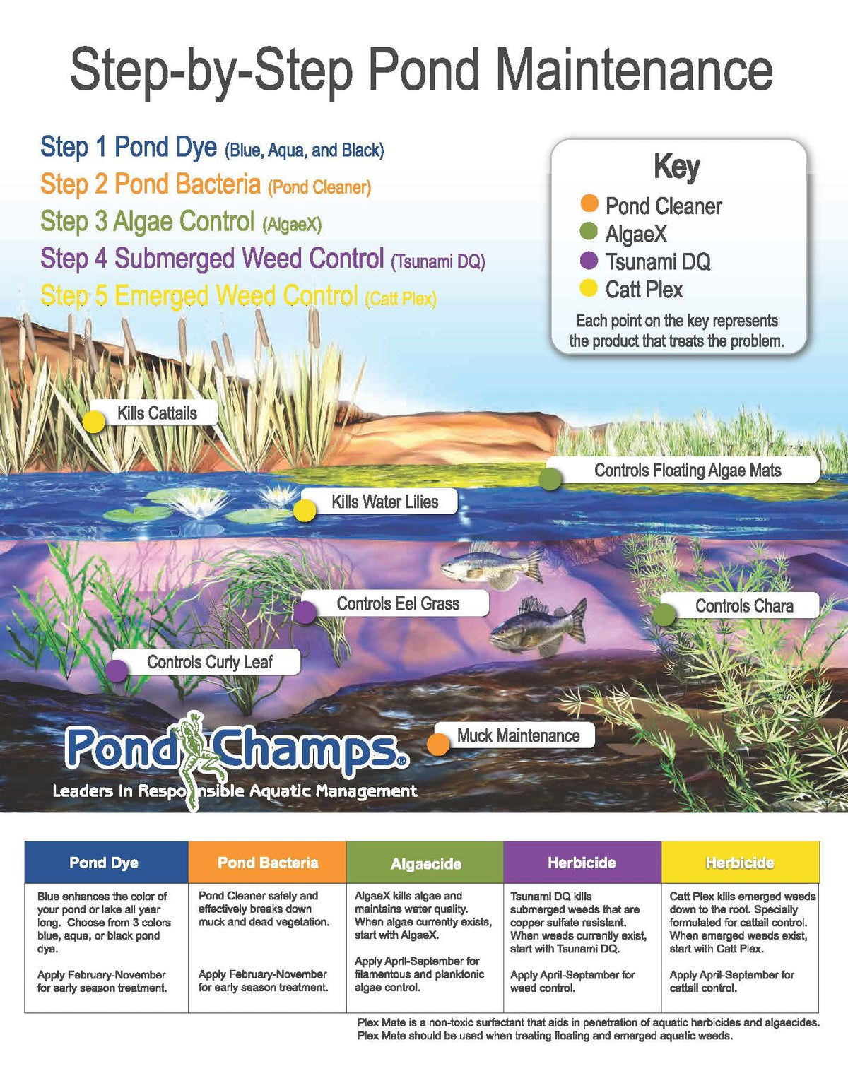 Pond Champs Blue Lake and Pond Dye - One Gallon of Professional Lake & Pond Dye - Treats Up to 1 Acre - Royal Blue Color