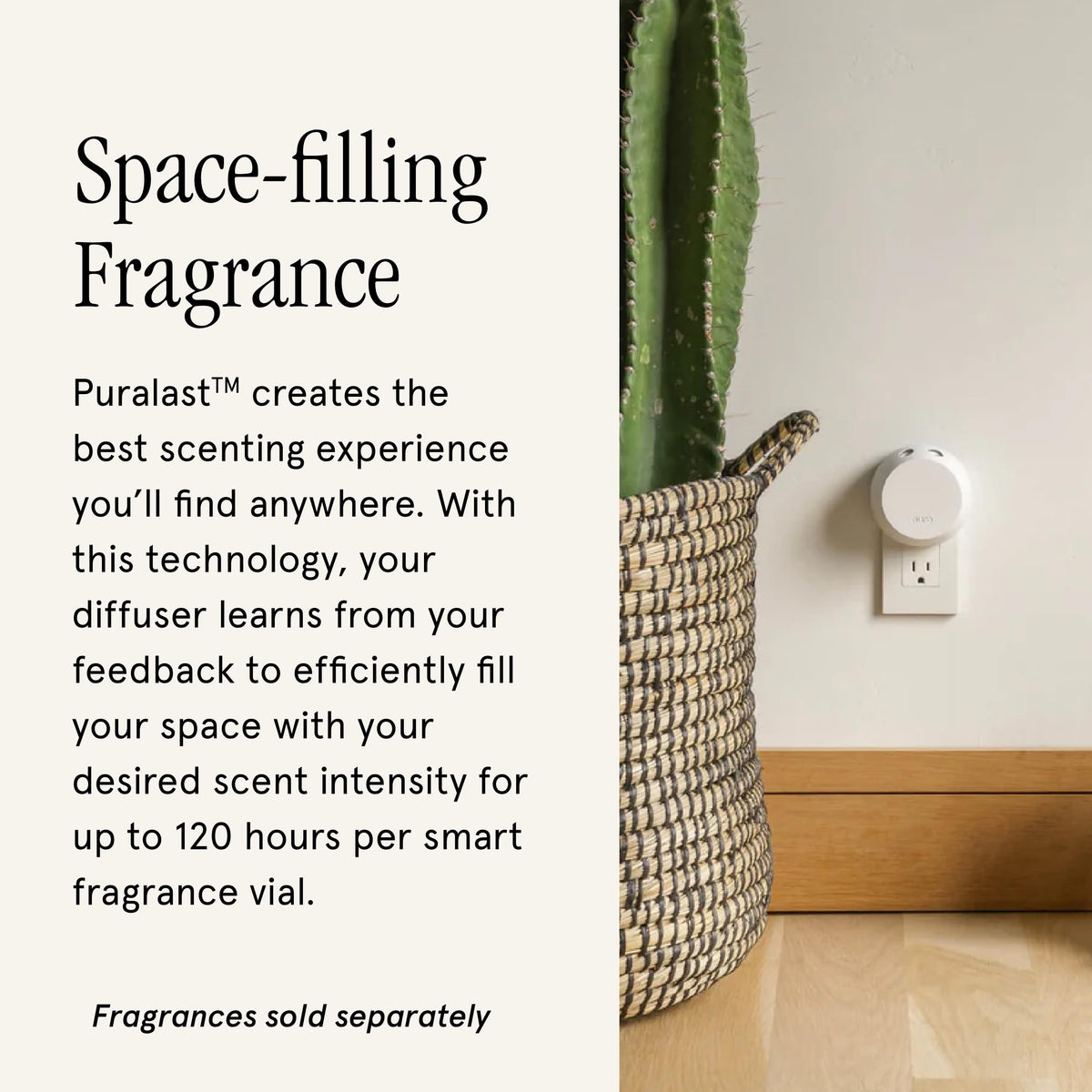 Pura Home 4 Fragrance Diffuser - Pura Official Imagery - 5