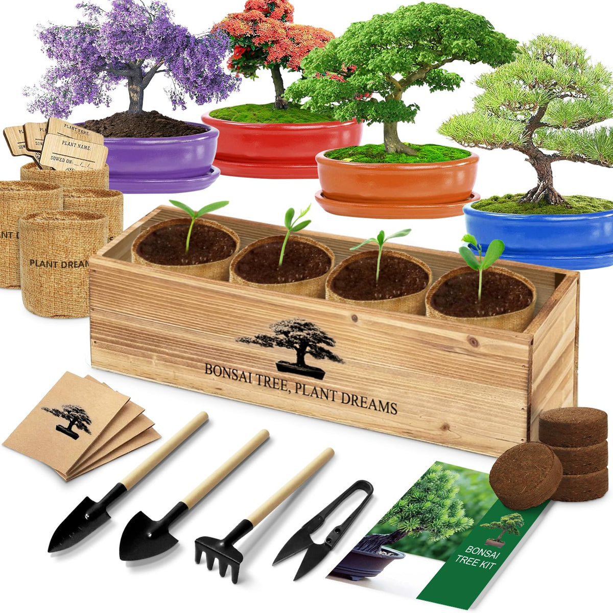 Bonsai Tree Kit Bonsai Starter Kit with Seeds Tools White - LUOJIBIE Official Imagery - 2