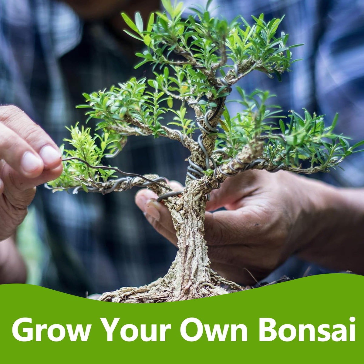 Bonsai Tree Kit Bonsai Starter Kit with Seeds Tools White - LUOJIBIE Official Imagery - 8