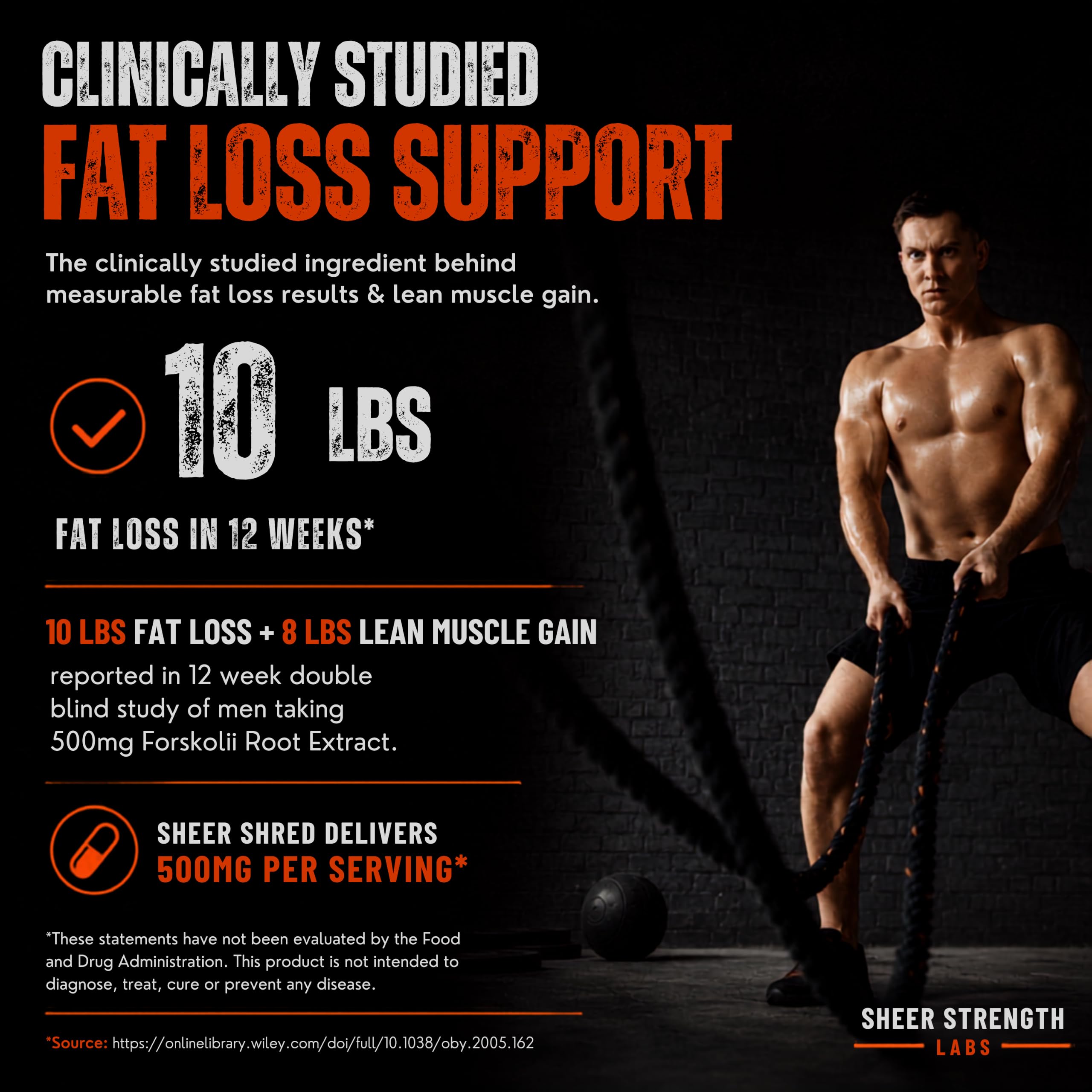 Fat Burner for Men with Clinical Dose Forskohlii, L-Carnitine, & Capsacin