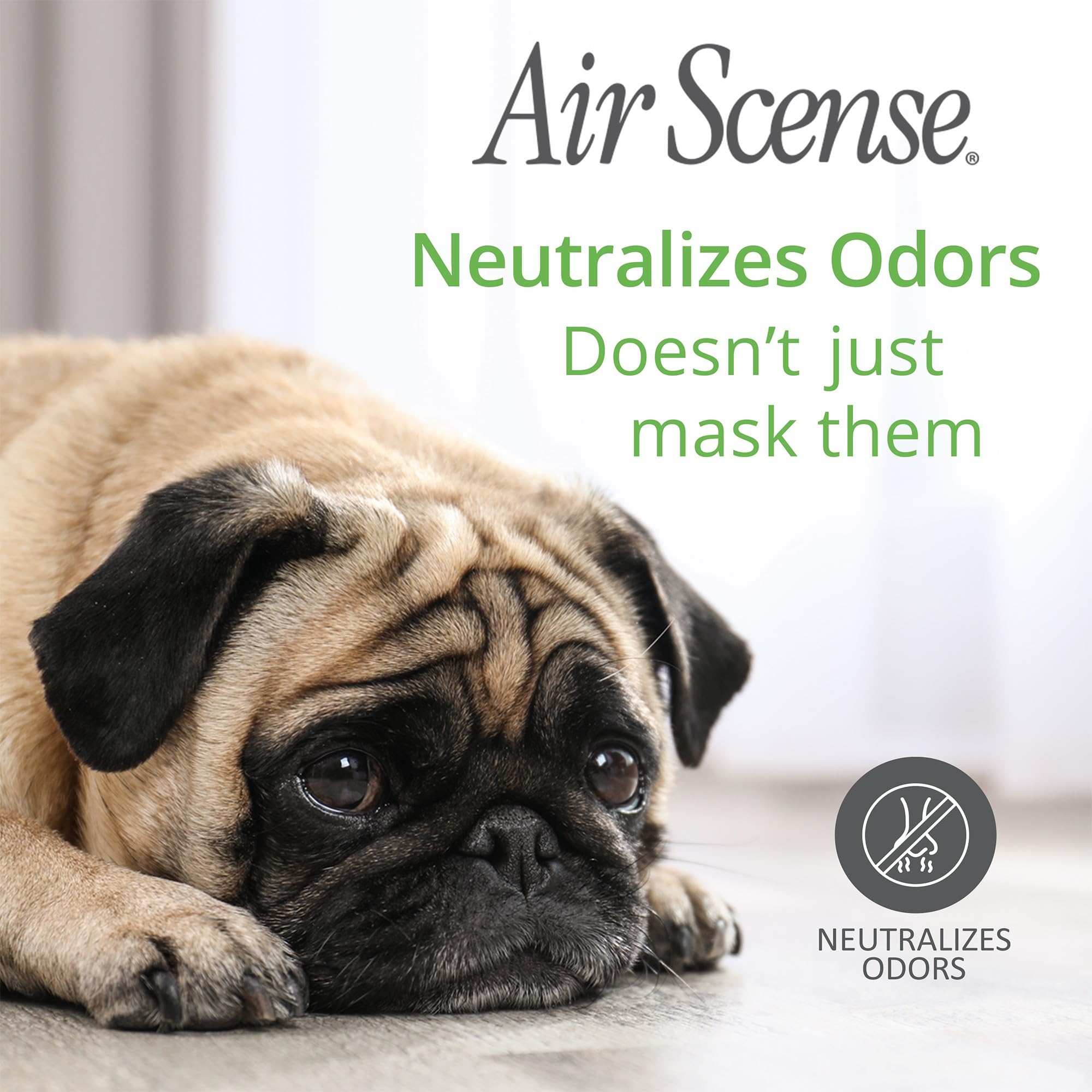 Air Scense Lime Natural Air Freshener, Room Spray, 7 fl oz