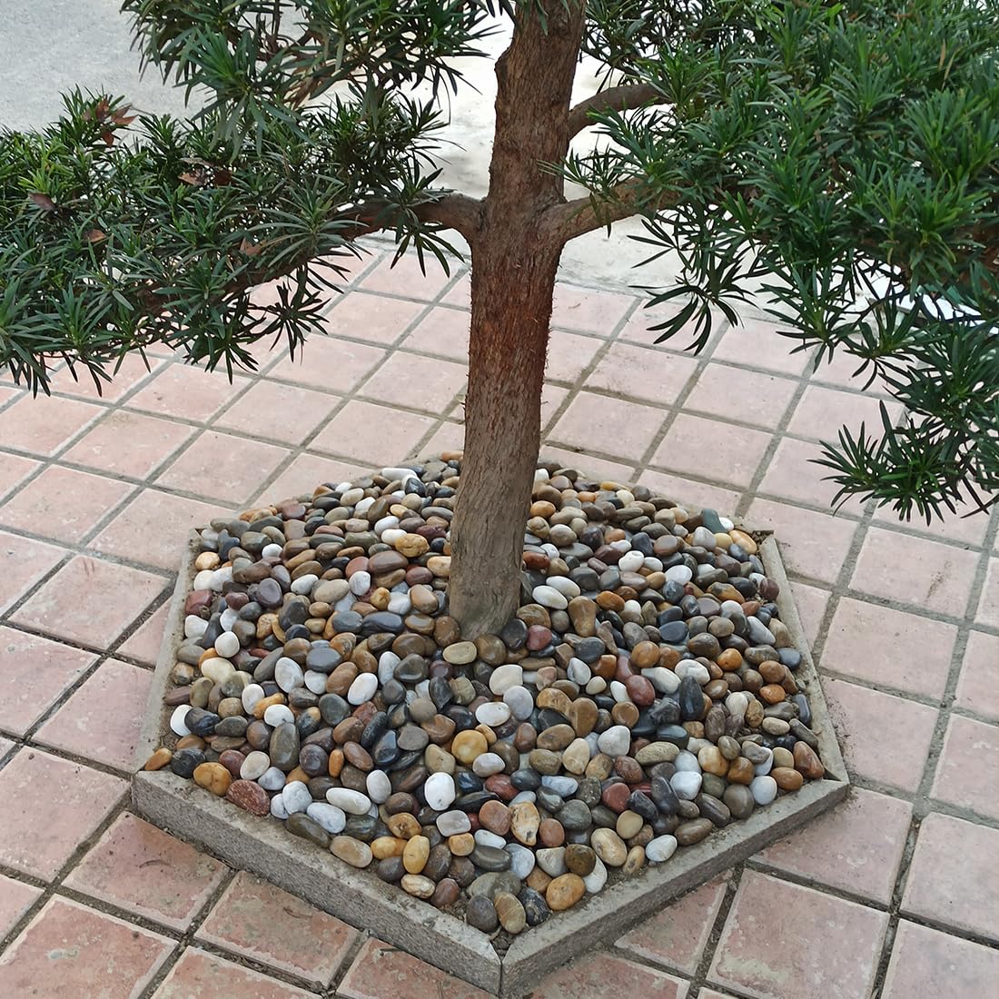 YISZM 20lbs Large River Rocks for Landscaping, 3-4" Mixed Color Pebbles – back view and specifications