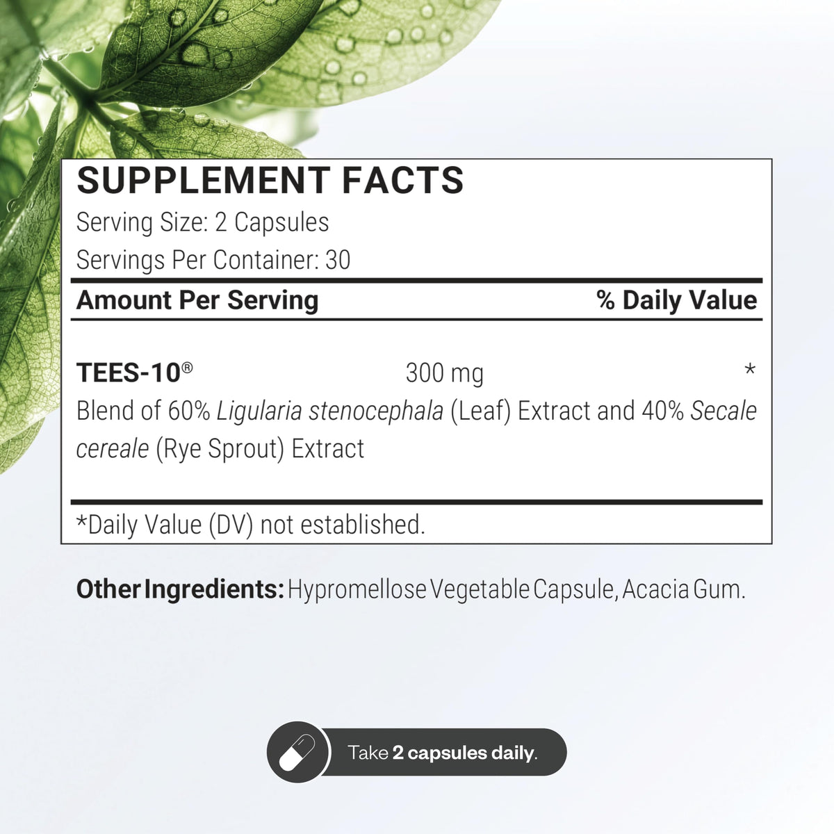 SuperSmart - Supersmart Official Imagery - 5