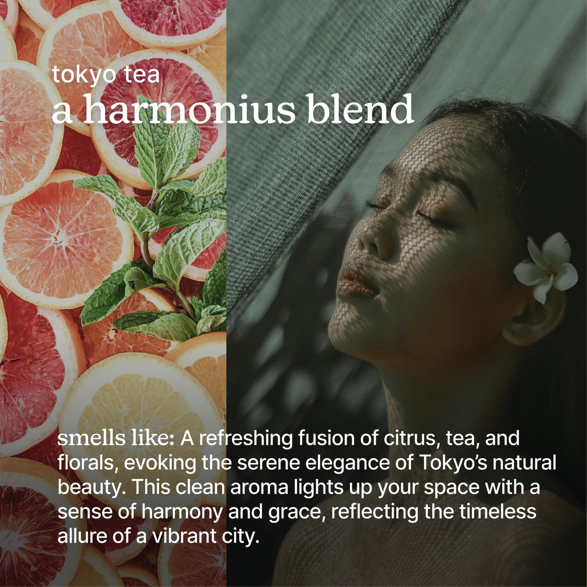 Homedics SereneScent Waterless Diffuser Oil Refill Tokyo Tea - Homedics Official Imagery - 3