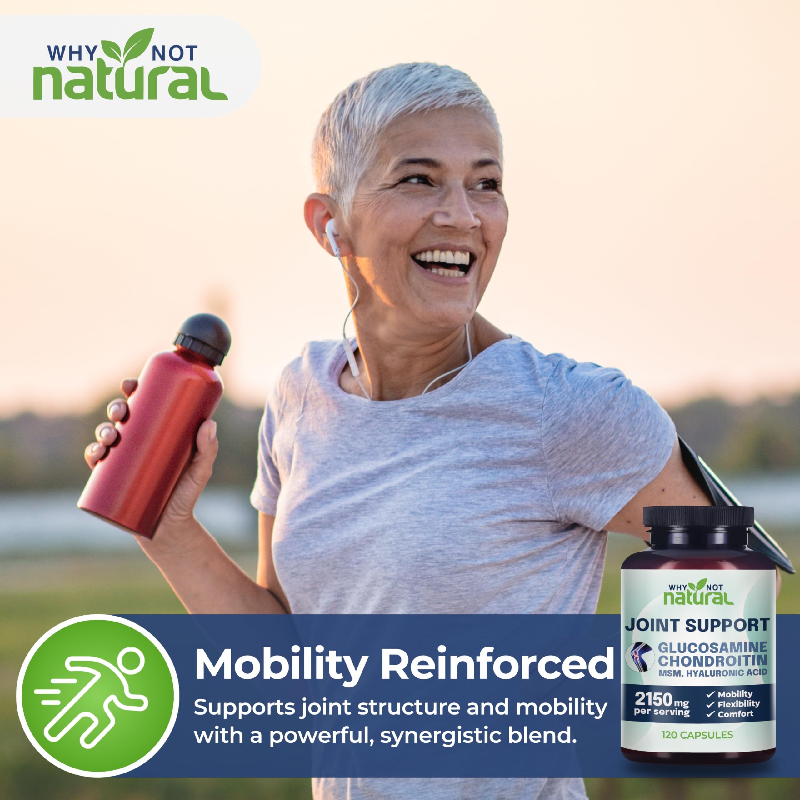 Why Not Natural Glucosamine Chondroitin, MSM, Joint Support Supplements - Knee Pain Joints Health Suppplement