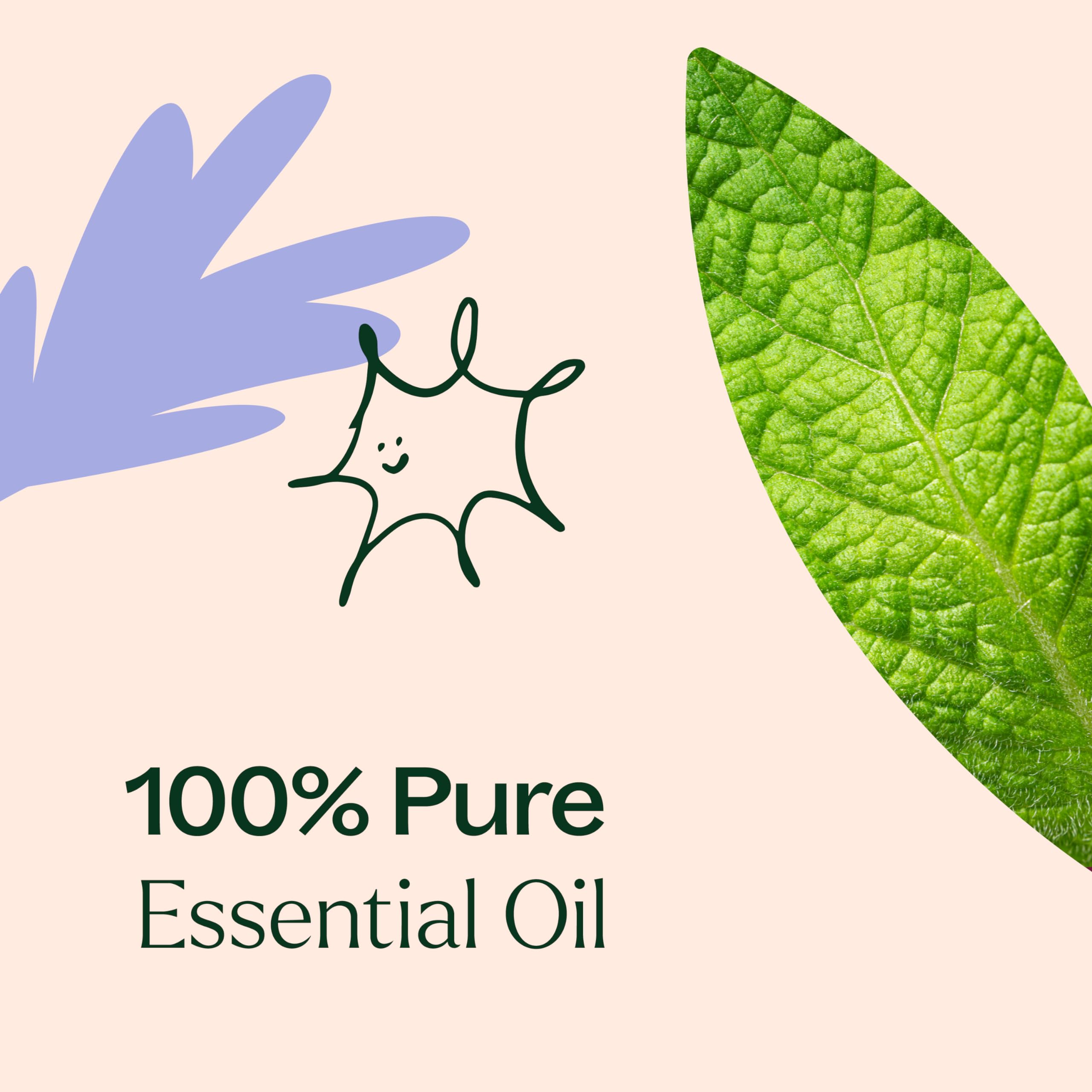Plant Therapy Respir Aid Essential Oil Blend, 30 mL (1 oz)