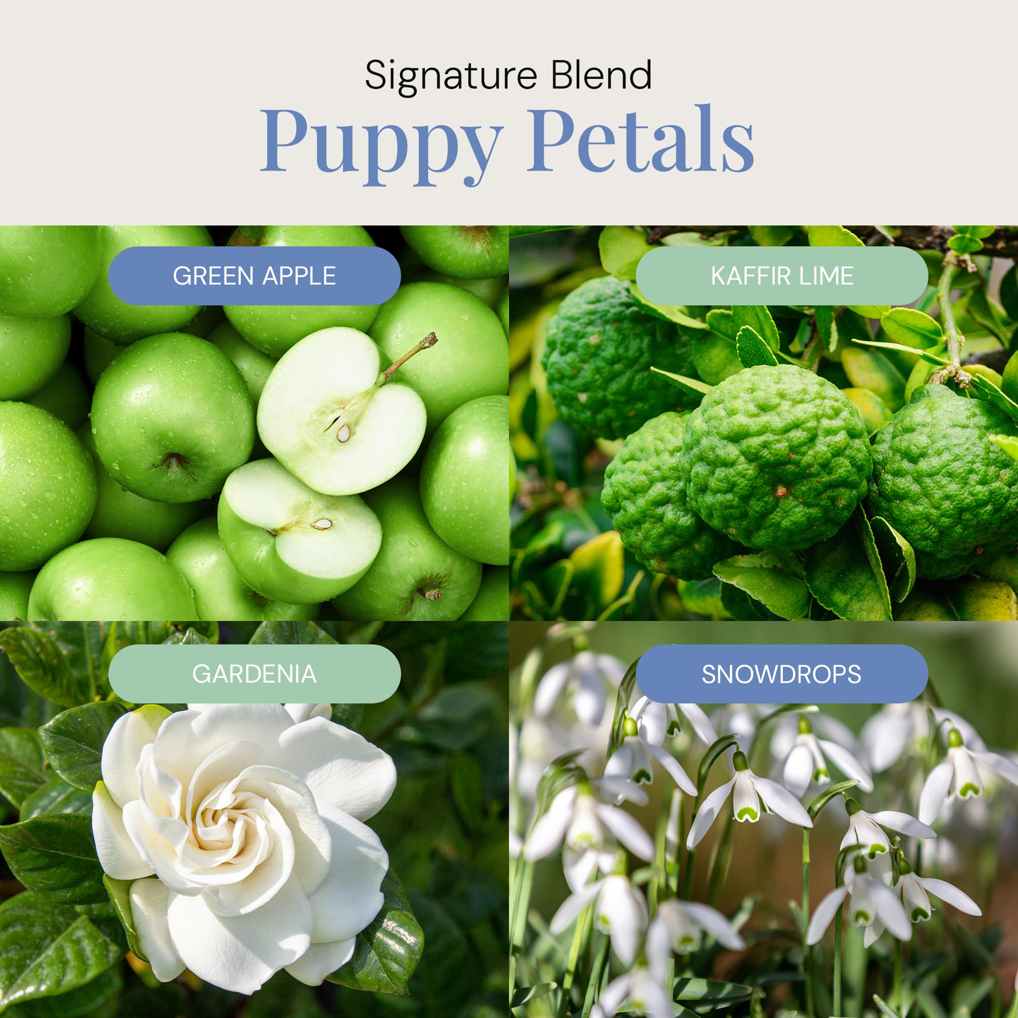 Air Esscentials Puppy Petals pet-safe aroma oil 300mL bottle, natural essential oil for pets and home relaxation.