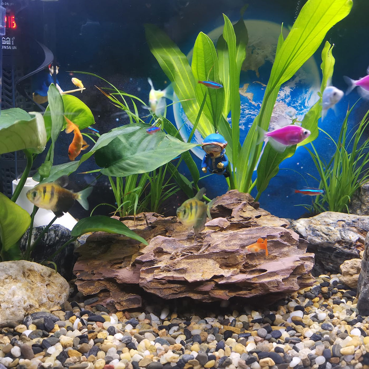 SHIZWU 10LB Aquarium Gravel, 1/4" Pea Gravel for Fish Tank, Small River Rocks for Garden Decoration, Landscaping, Va