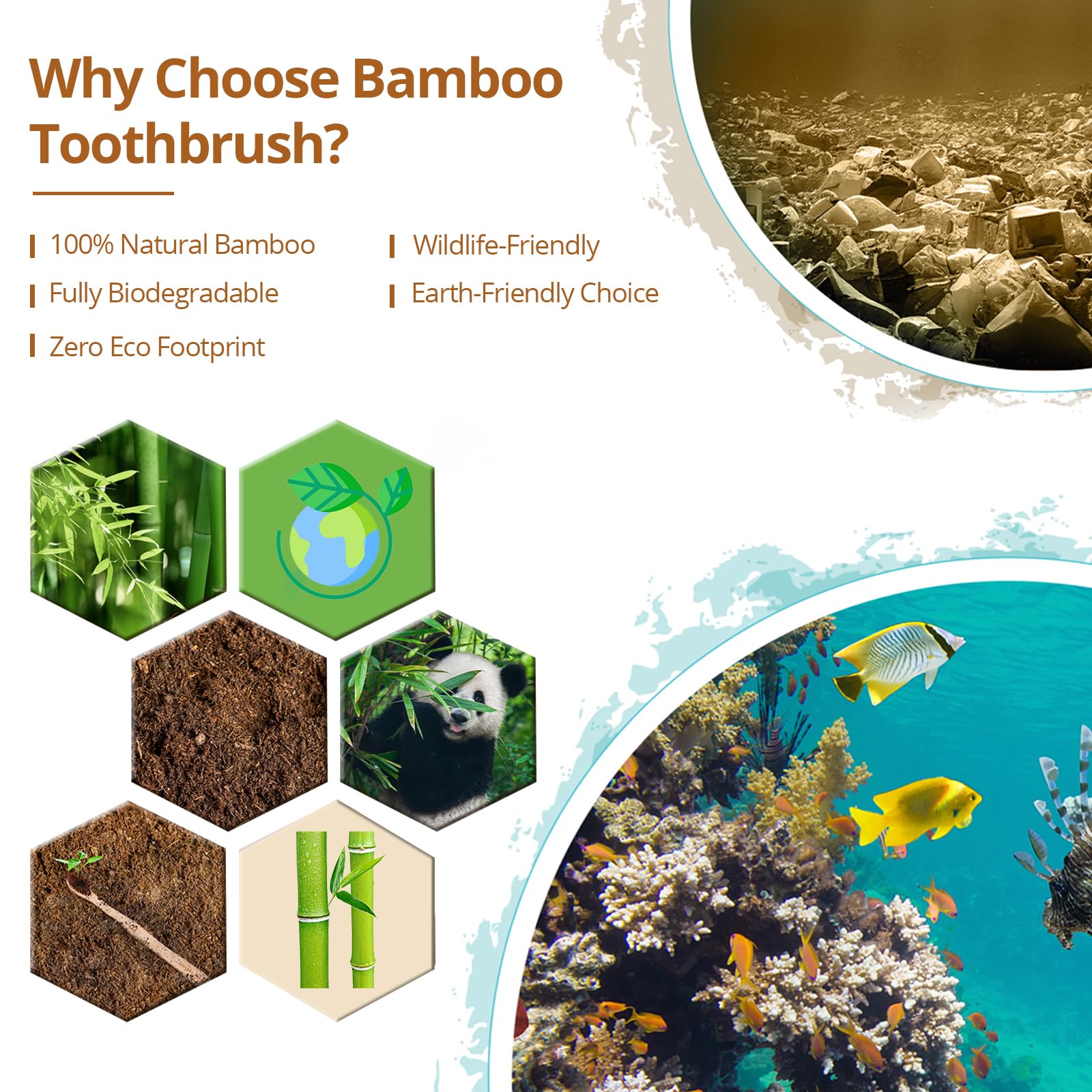 Virgin Forest bamboo toothbrush 10-pack with soft bristles, BPA-free eco-friendly toothbrushes for gentle oral care.