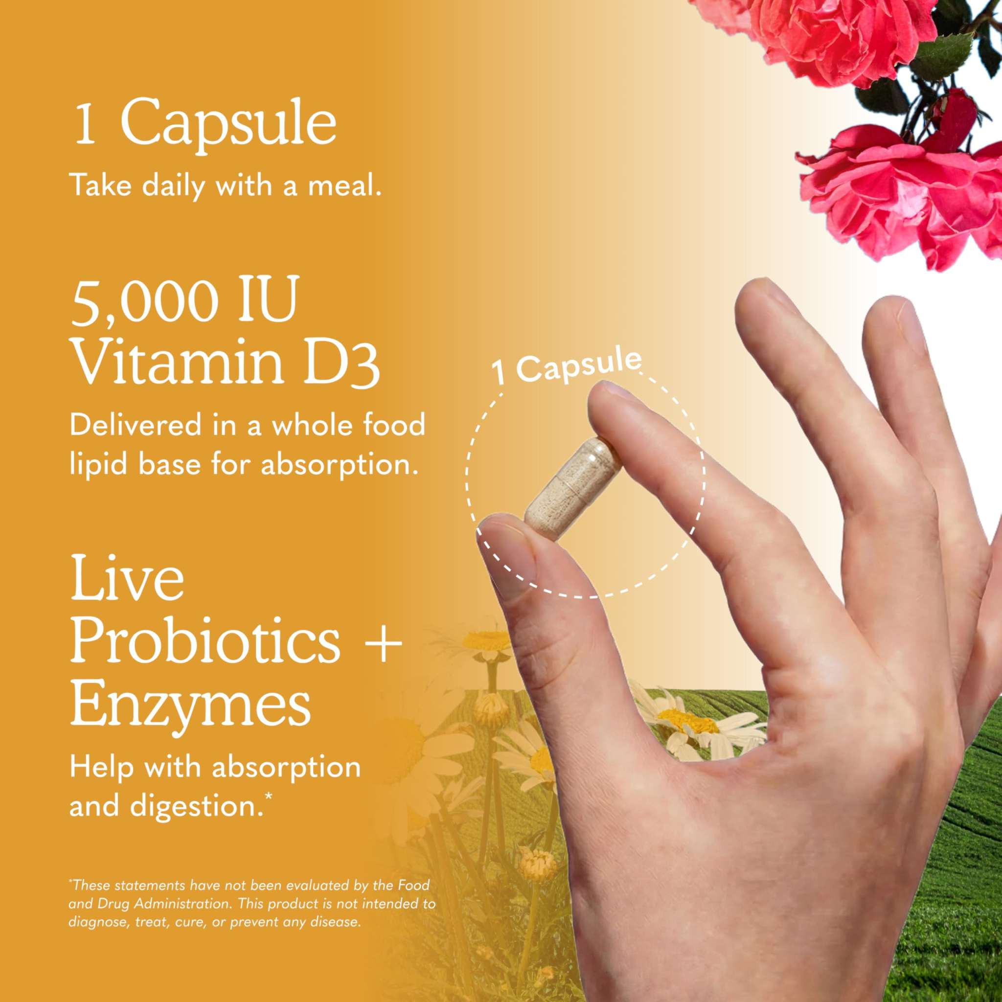 Garden of Life Vitamin D3 5000 IU raw whole food vitamin bottle with 60 capsules visible in the image.