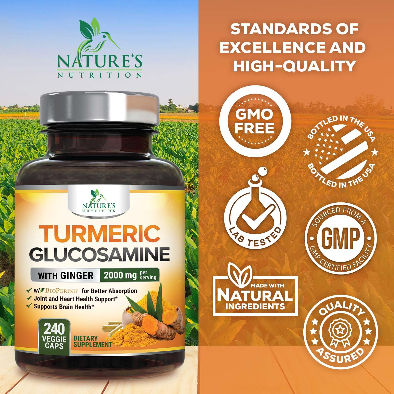 Turmeric Curcumin Supplement - 95% Curcuminoids with Glucosamine, Ginger & MSM, BioPerine Black Pepper Extract for Best Absorption, Natural Vegan Joint Support, Non-GMO, Bottled in USA - 240 Capsules