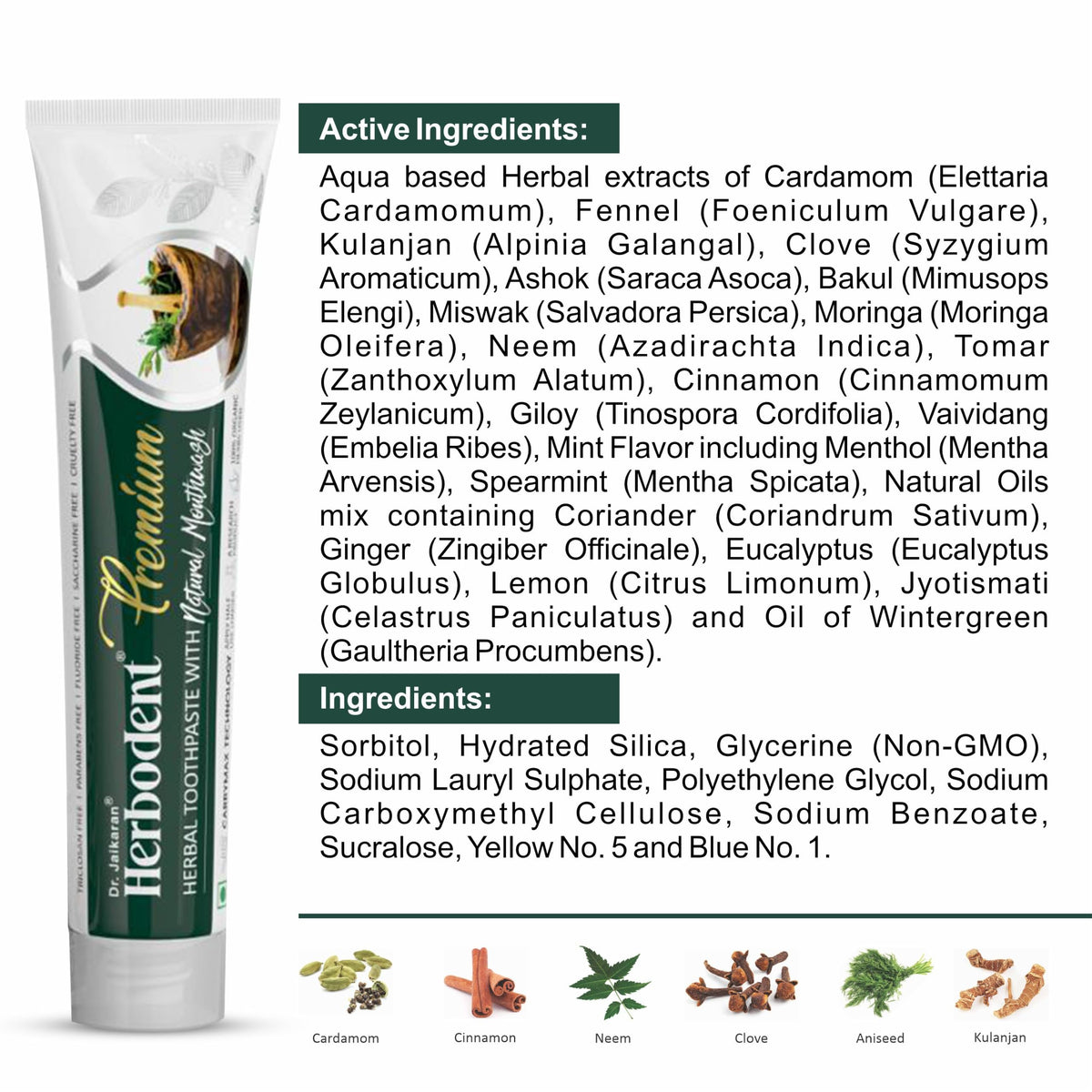 Premium Toothpaste - Herbodent Official Imagery - 4