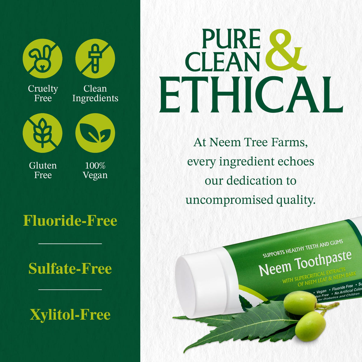 Fluoride Free Toothpaste Vegan Gluten Free 4 Pack - Neem Tree Farms Official Imagery - 5