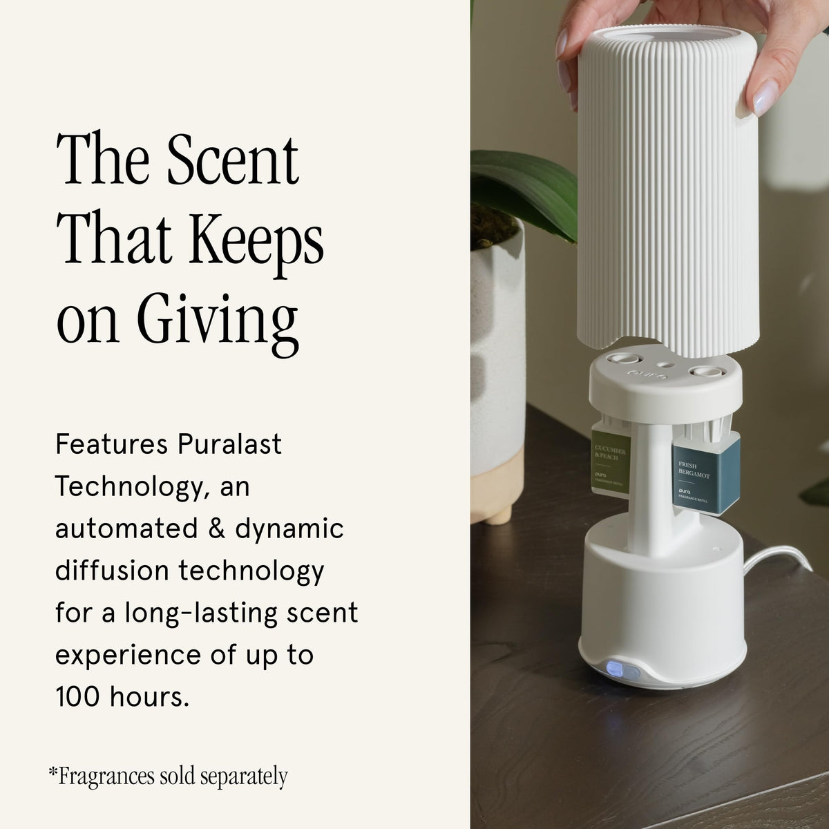 Pura Plus Smart Home Fragrance Diffuser for Large Spaces - Pura Official Imagery - 5
