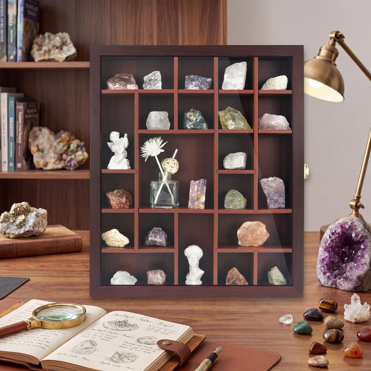 Rock Display Case Wall Mount Shadow Box with Shelves - FramePro Official Imagery - 8