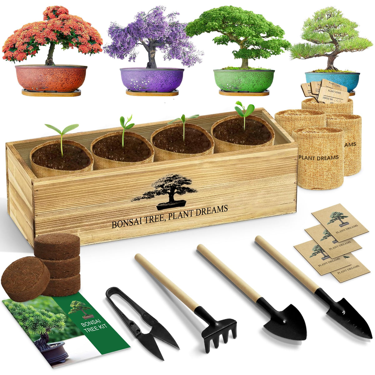 Bonsai Tree Kit Complete Bonsai Starter Growing Kit - LUOJIBIE Official Imagery - 2