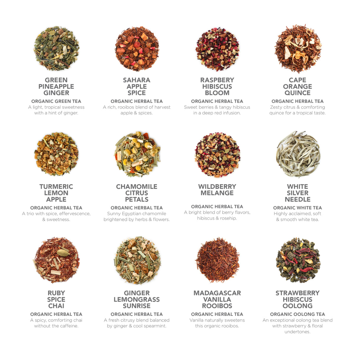 Teabloom - Teabloom Official Imagery - 5