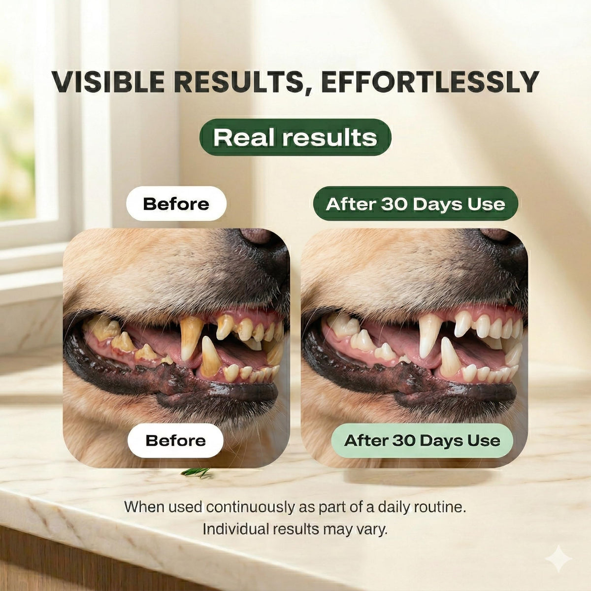 DE 01 Dog Dental Powder - Dogbiotics Official Imagery - 7