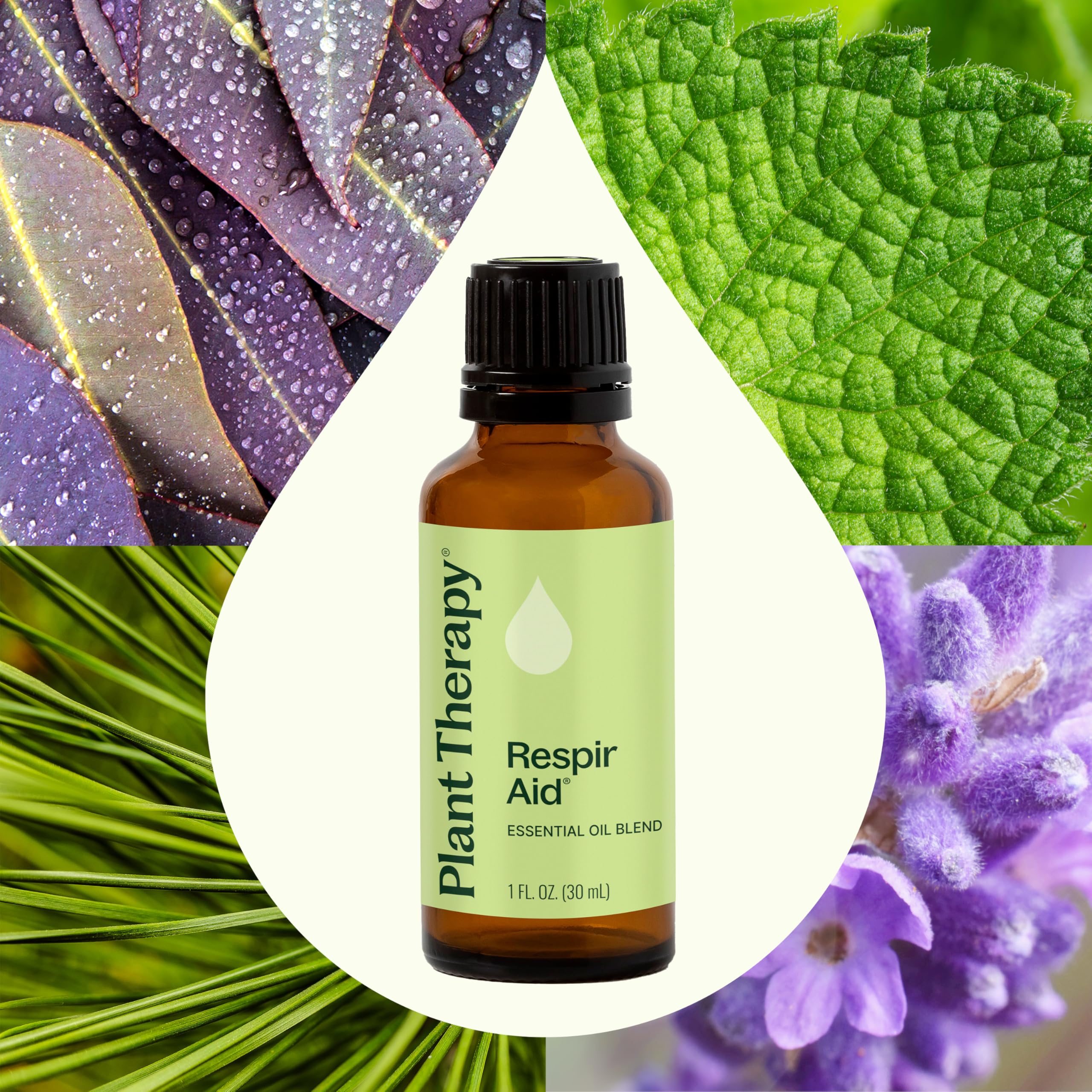 Plant Therapy Respir Aid Essential Oil Blend, 30 mL (1 oz)