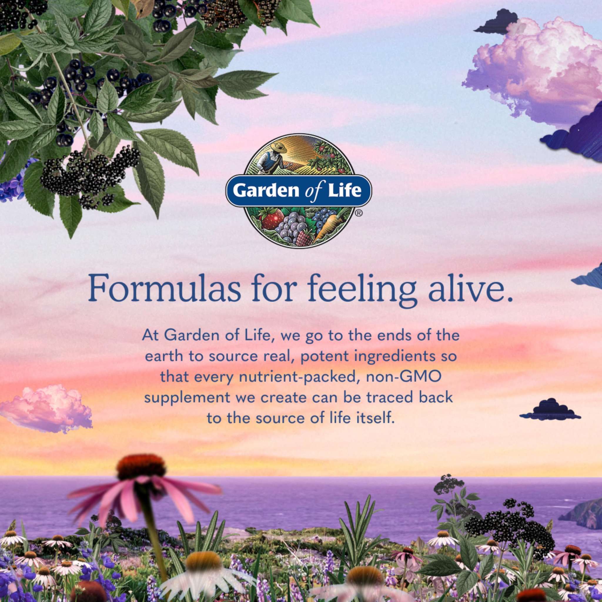 Garden of Life RAW Zinc 30mg and Vitamin C 60 vegan capsules, dietary supplement for immune support and overall health.