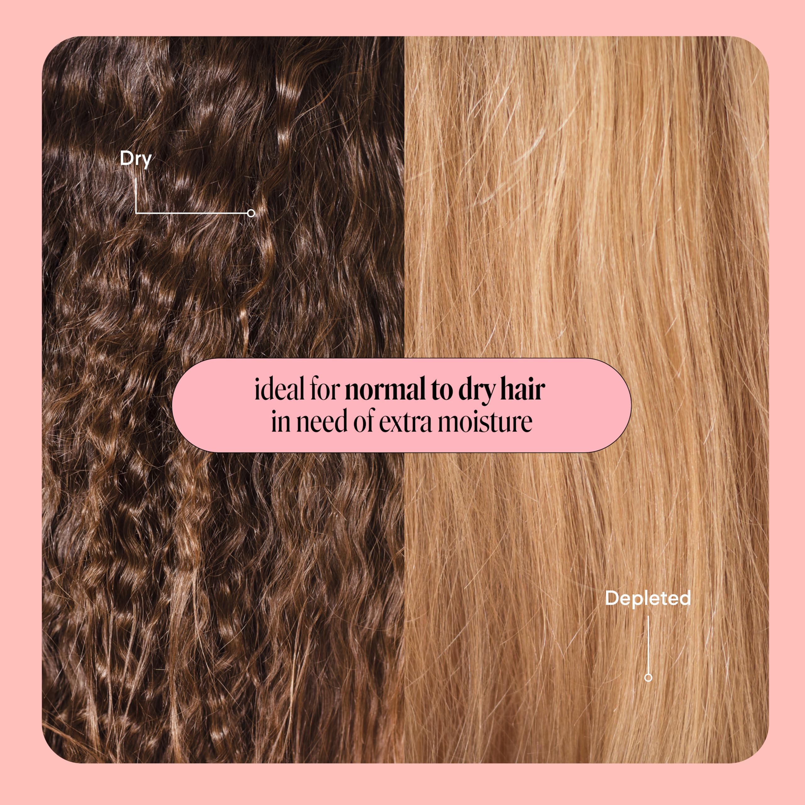 MONDAY HAIRCARE moisture shampoo and conditioner set for dry, frizzy hair, with coconut oil, rice protein, shea butter, and vitamin E
