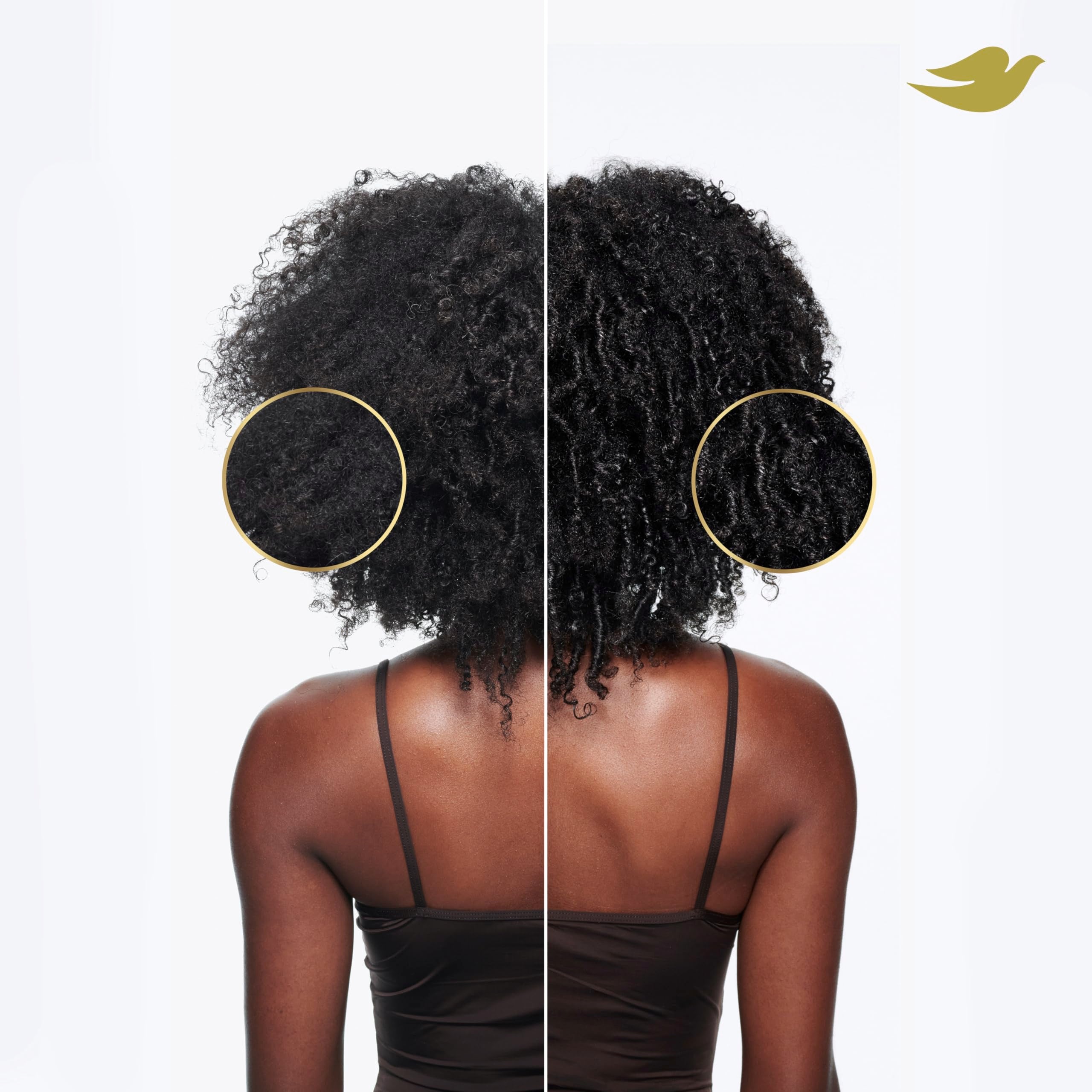 Dove Amino Curl Regimen 4-Pack for curly and coily hair, featuring hair care products designed to enhance curl definition.