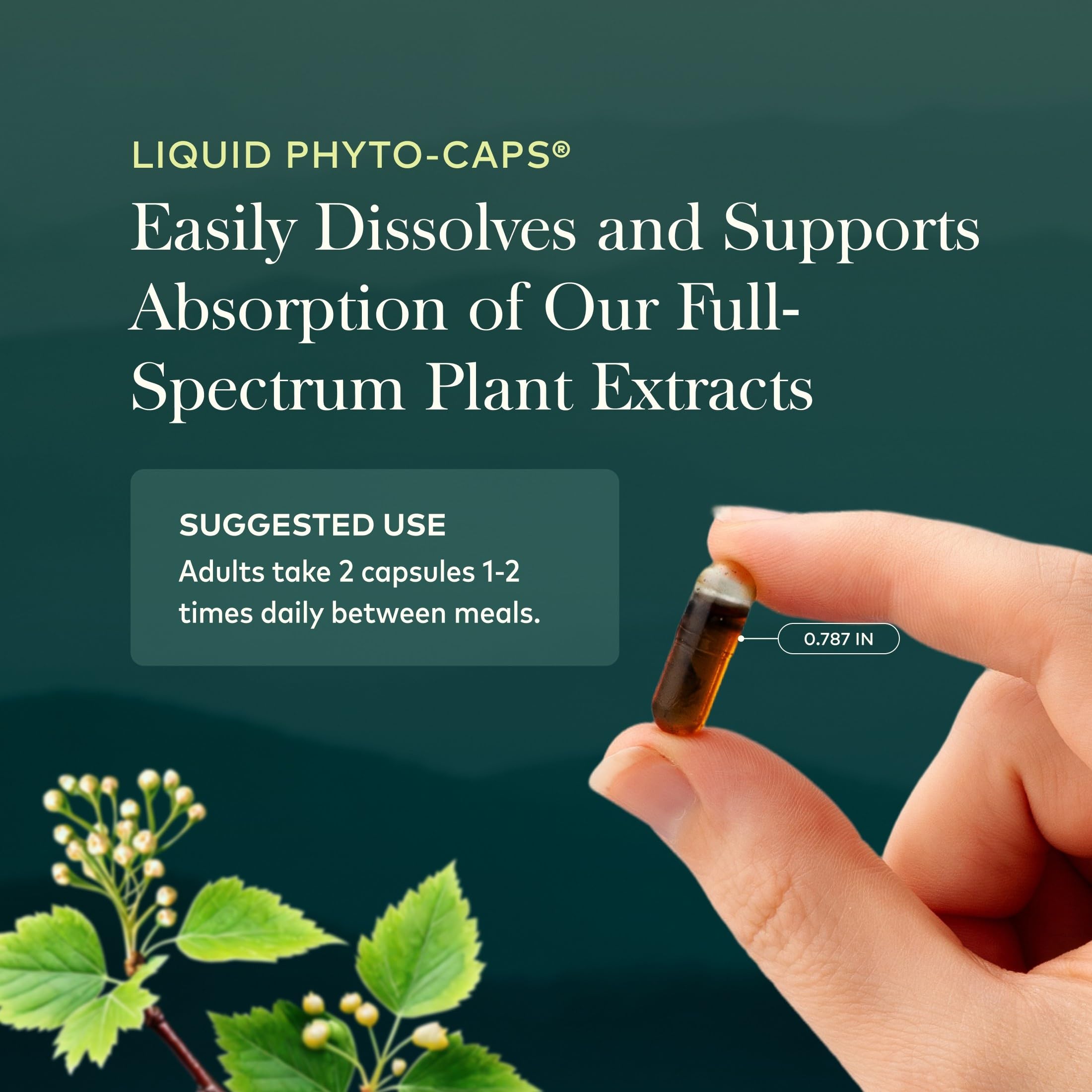 Gaia Herbs Black Seed Oil Capsules herbal supplement bottle with 60 vegan capsules, featuring black seed oil in soft gel form.