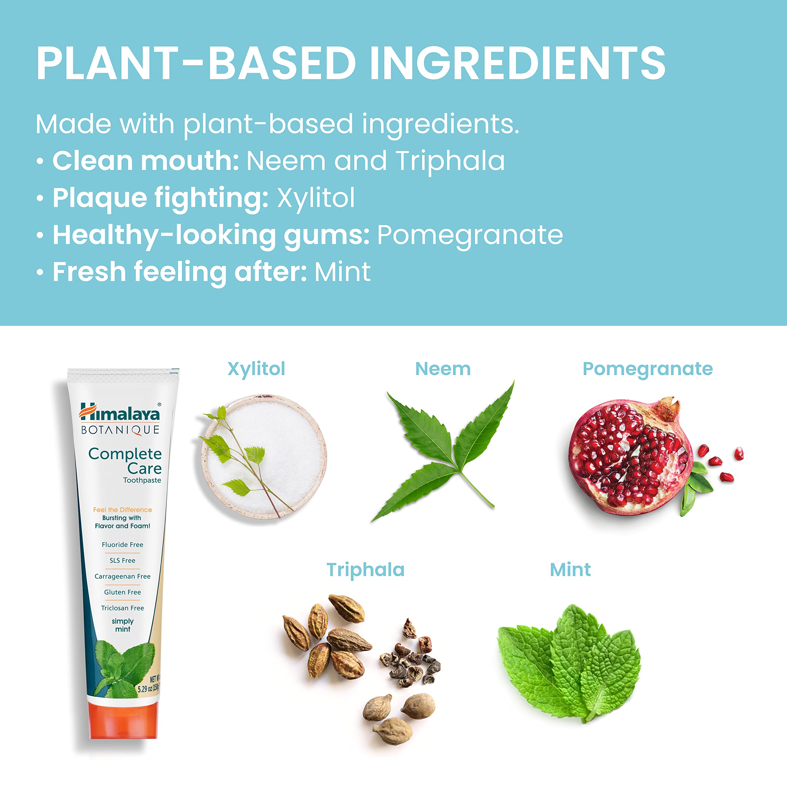 Himalaya Botanique Complete Care Herbal Whitening Toothpaste tube with herbal ingredients and natural mint flavor, displayed on a white background.