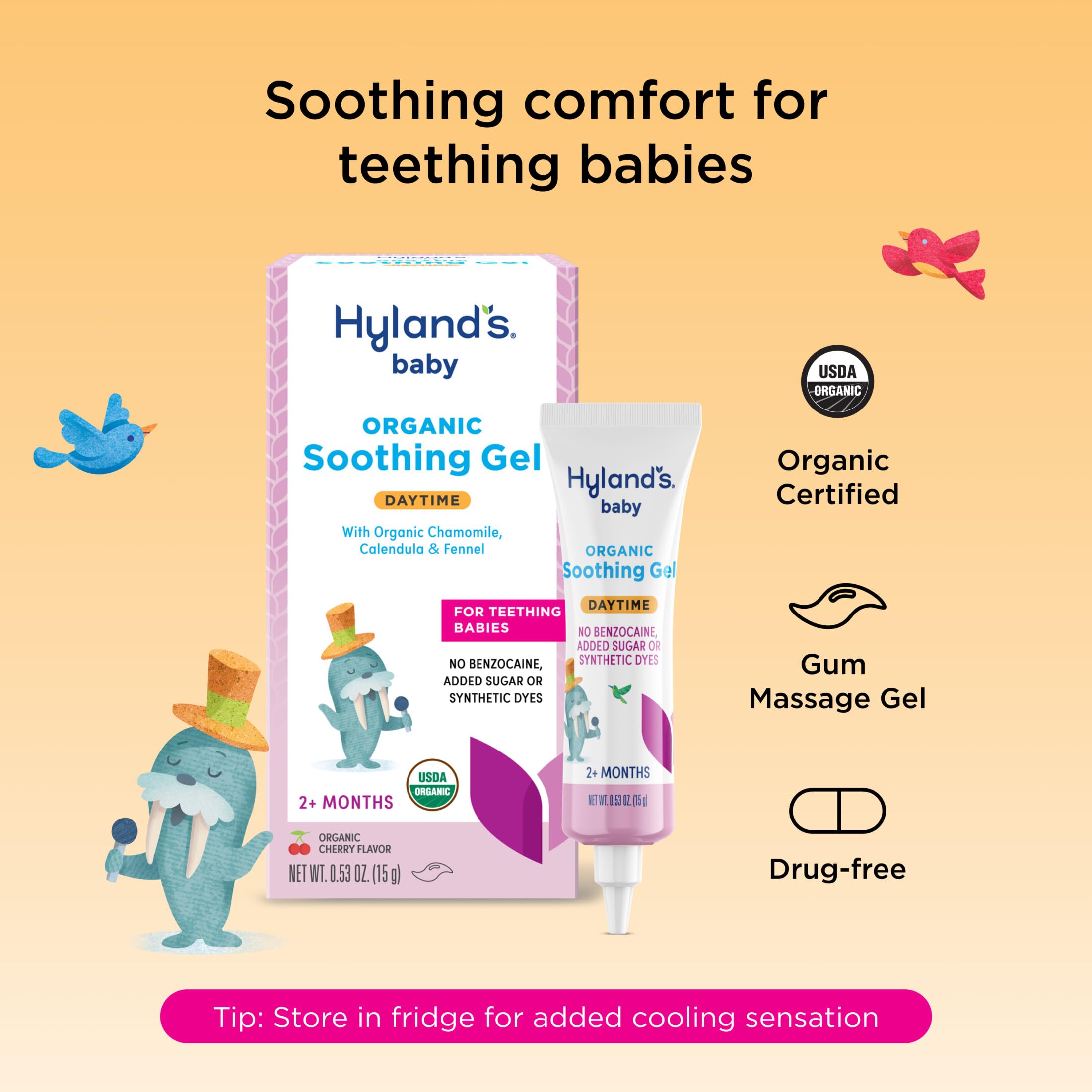 Hyland's Baby Daytime Oral Soothing Gel in 0.53oz tube, a natural medication for soothing baby's oral discomfort.