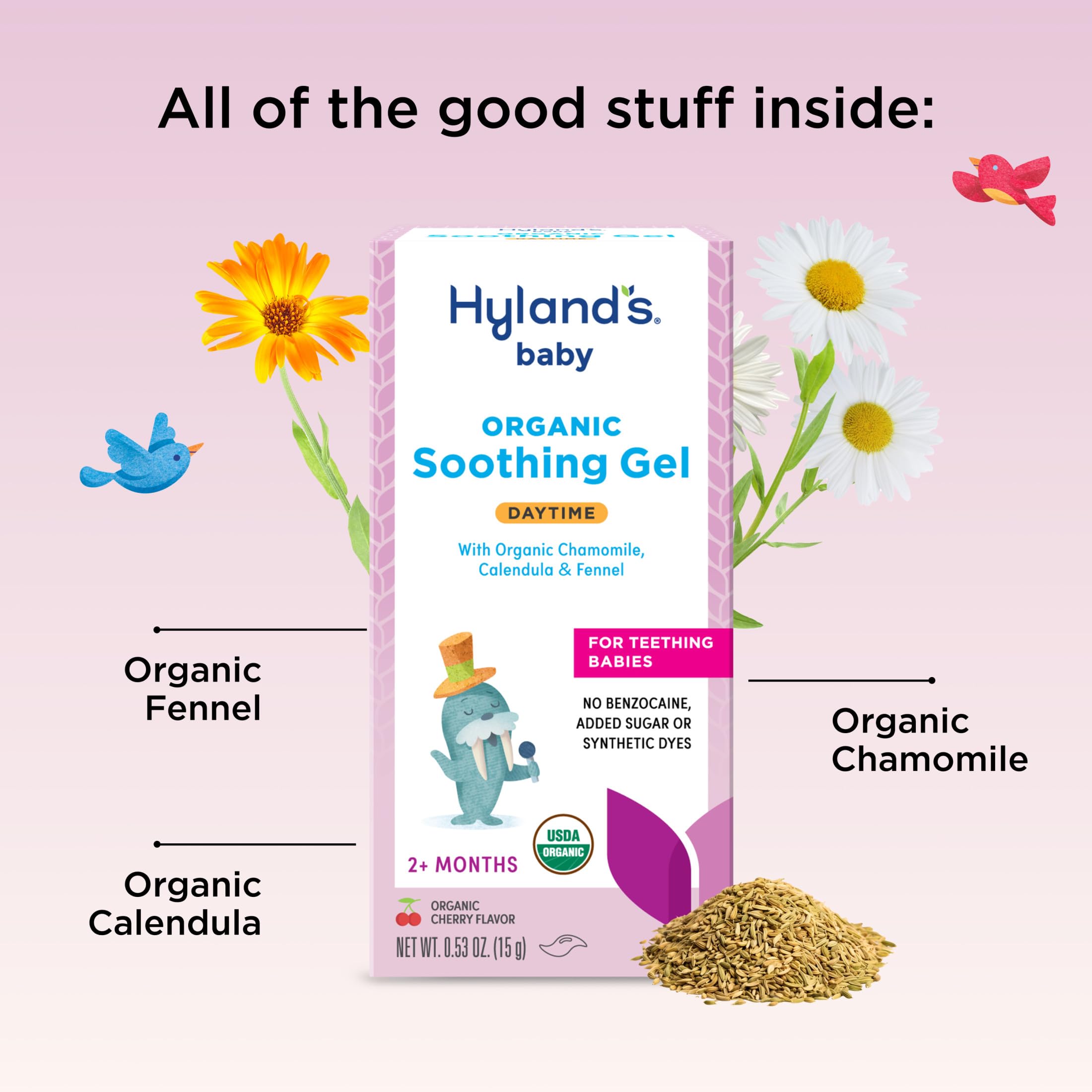 Hyland's Baby Daytime Oral Soothing Gel in a .53oz tube, gentle medication for soothing baby's oral discomfort.