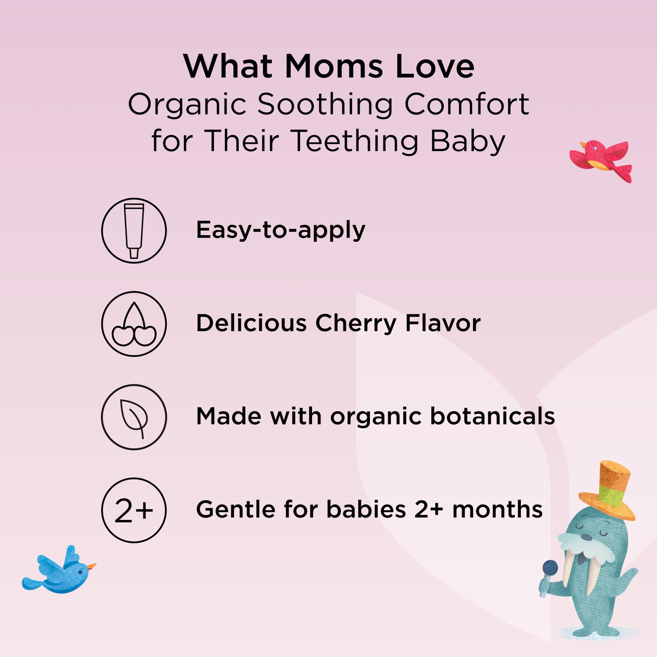Hyland's Baby Daytime Oral Soothing Gel in a 0.53oz tube, designed for gentle relief of teething discomfort in infants