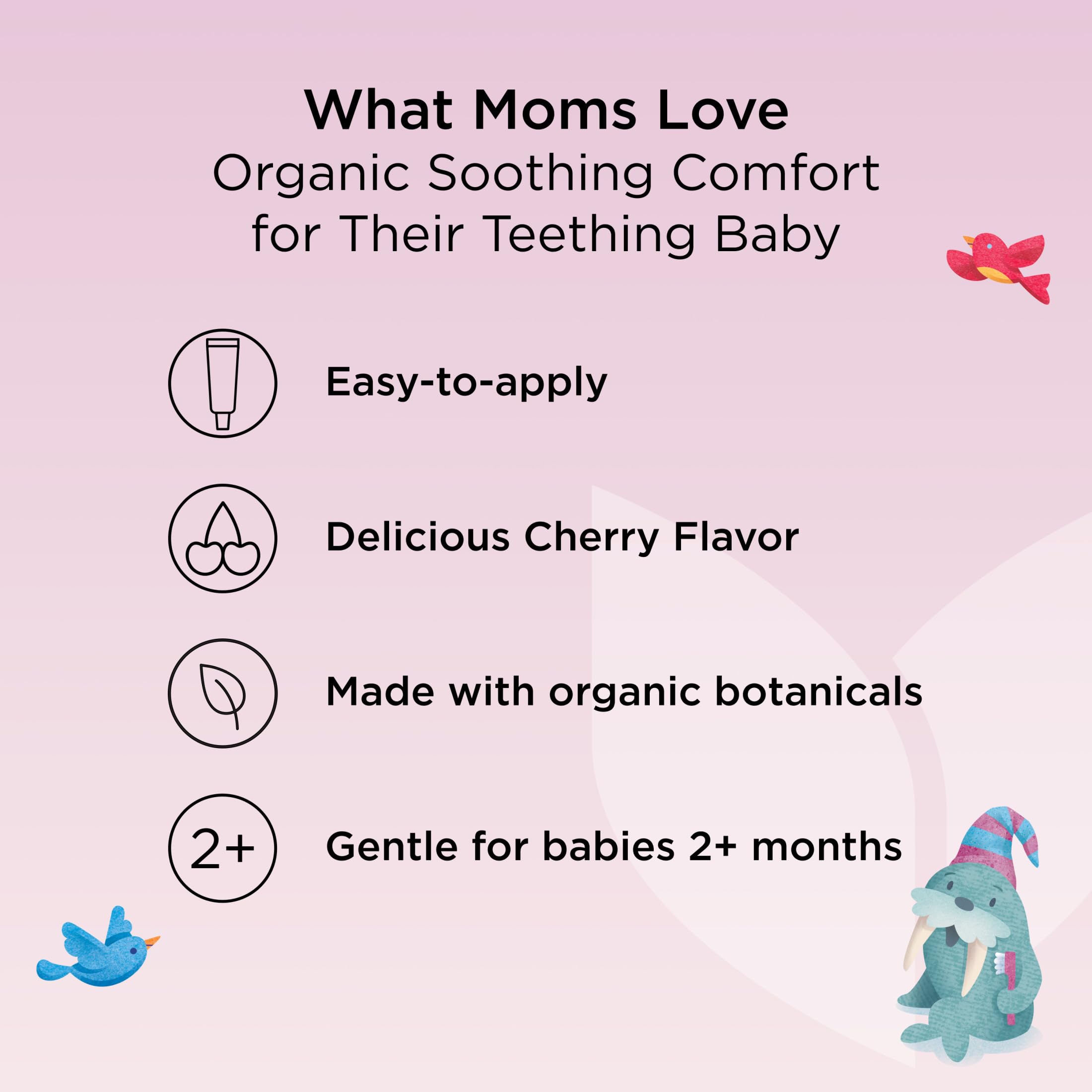 Hyland's Baby Organic Teething Gel Day & Night Combo in a natural, child-safe packaging with the product label visible.