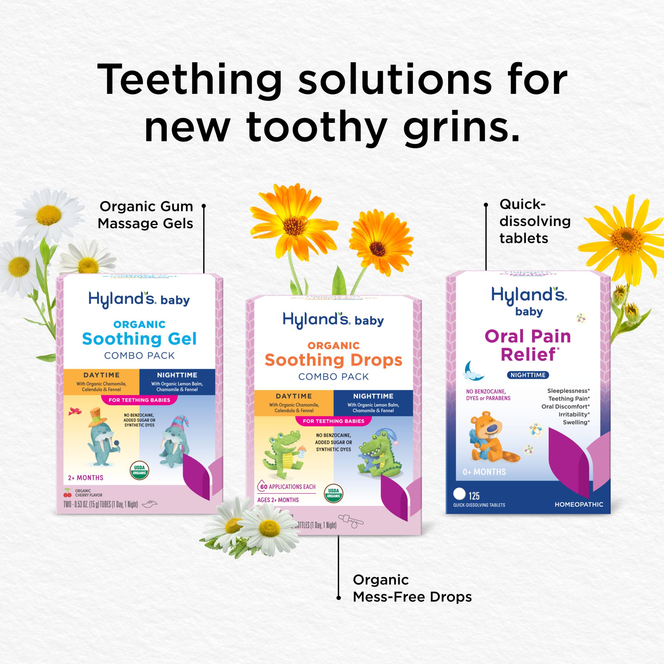 Hyland's Baby Organic Teething Gel Day & Night Combo, natural supplement for soothing baby's teething discomfort, with applicator tubes.