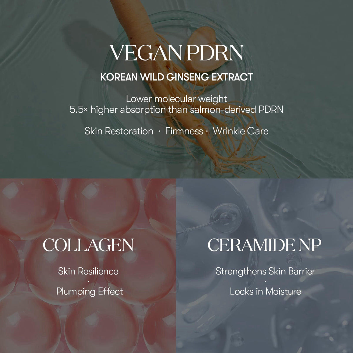 VT COSMETICS PDRN Hydration Duo – close-up detail