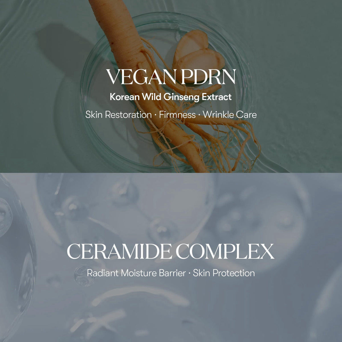 VT COSMETICS PDRN Hydration Duo – full view